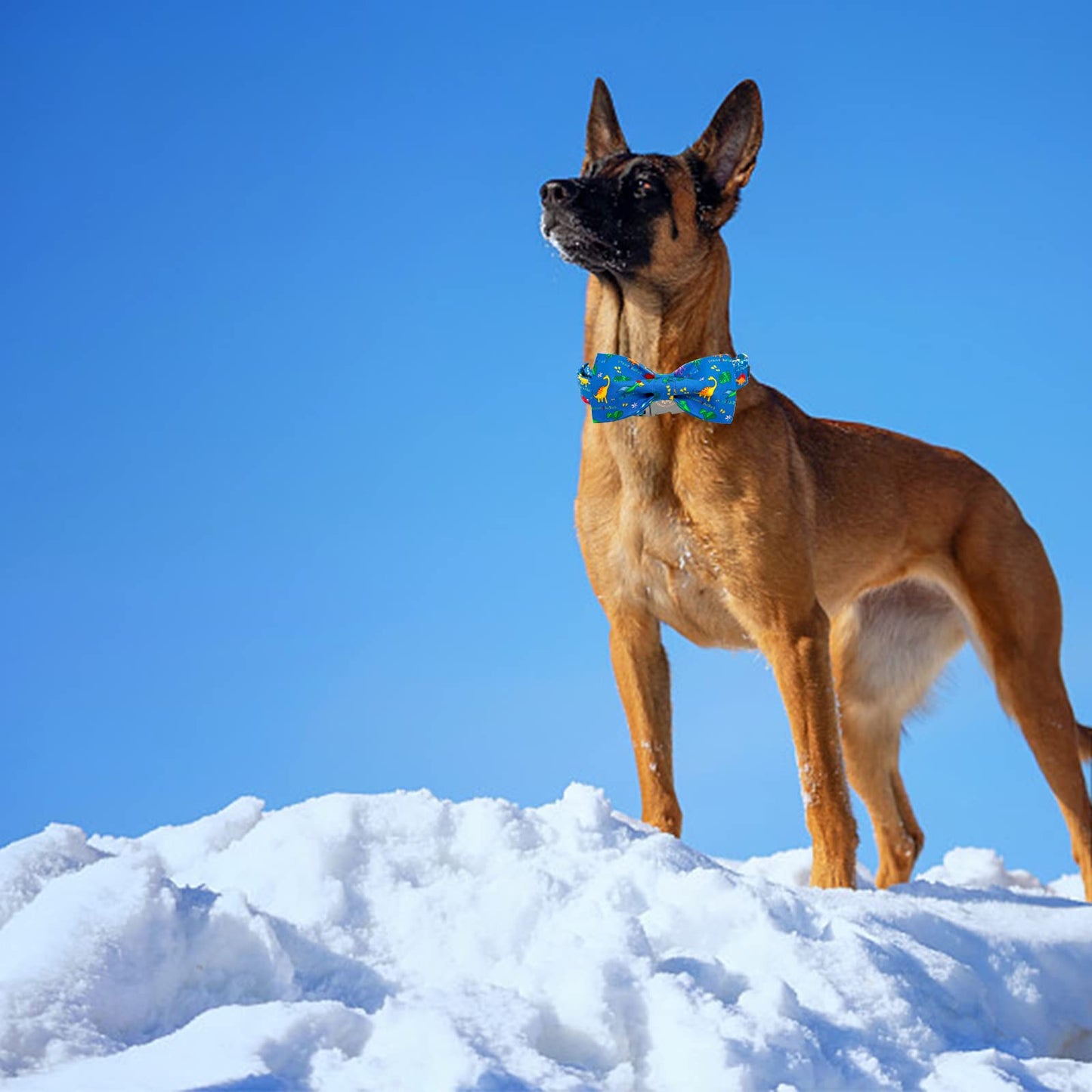 Elegant little tail Dog Collar with Bow, Soft&Comfy Bowtie Dog Collar, Adjustable Pet Gift Collars for Small Medium Large Dogs