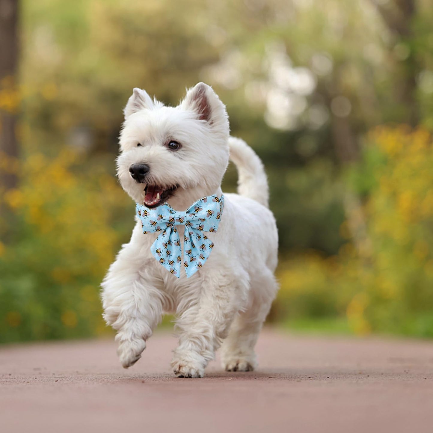 Maca Bates Duck Dog Collar with Bow Bowtie for Dogs Bow Tie Adjustable Breakaway Green Summer Thick Collars Accessories Birthday Gift Colar for XS Small Medium Large XL Boy Girl Male Female Puppy Pet