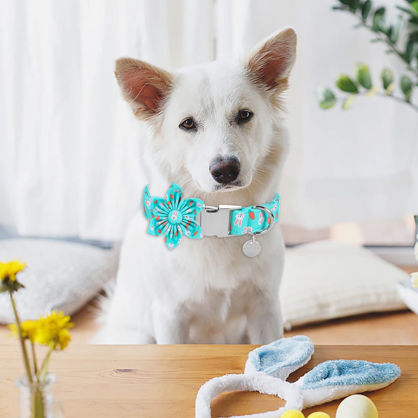 Easter Dog Collar with Bow Tie, Cotton Easter Bowtie Collar for Small Girl Boy Dog, Cute Carrot Pet Collar with Metal Buckle, Easter Day Gift Dog Collar, Blue, S, Neck 10-16in