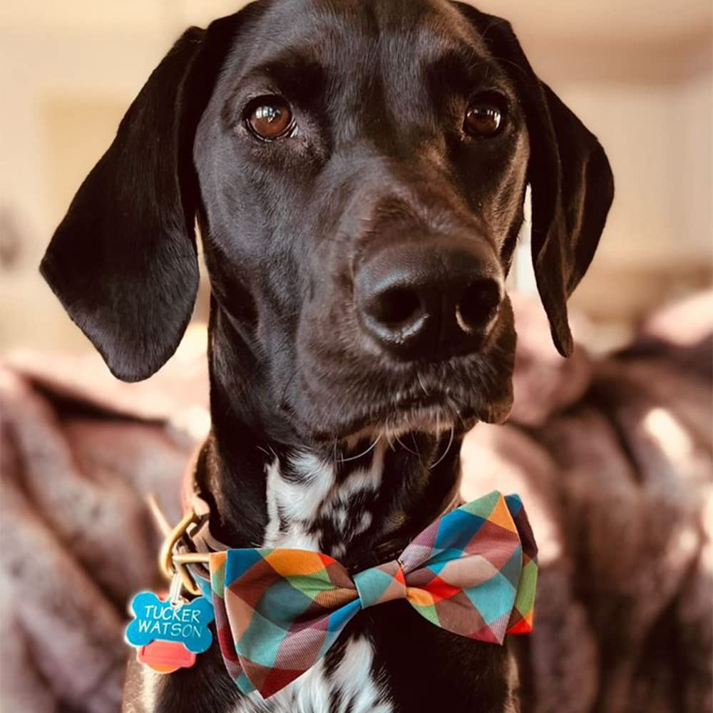 Huxley & Kent Bow Tie for Pets | Fall Check (Extra-Large) | Bow Tie Collar Attachment | Fun Bow Ties for Dogs & Cats | Cute, Comfortable, and Durable | H&K Bow Tie