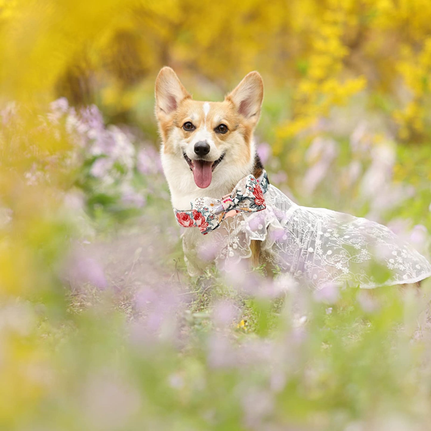 Elegant little tail Vintage Floral Dog Collar with Bow, Comfotable Dog Bowtie, Dog Collar Bow Adjustable Dog Collars for Small Medium Large Dogs