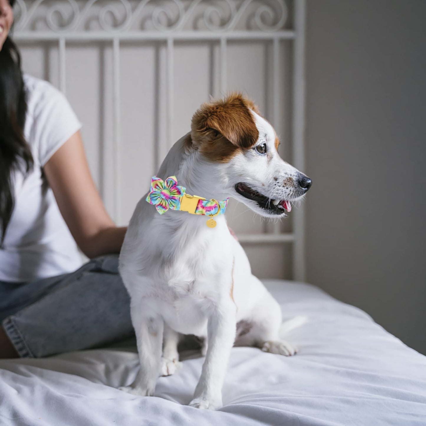 American Flag Dog Collar with Bow Tie, 4th of July Comfortable Cotton Cute Dog Collar with Metal Buckle, Patriotic Bowtie Collar for Puppy Girl Boy Dog, XL, Neck 16-26in