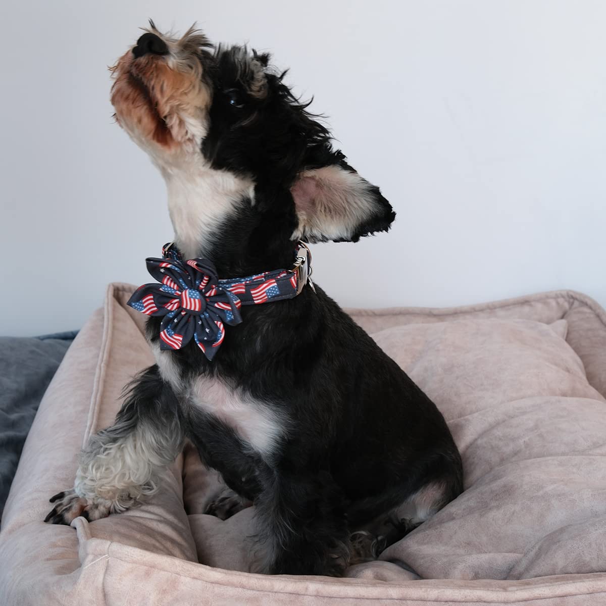 American Flag Dog Collar with Bow Tie, 4th of July Comfortable Cotton Cute Dog Collar with Metal Buckle, Patriotic Bowtie Collar for Puppy Girl Boy Dog, XL, Neck 16-26in