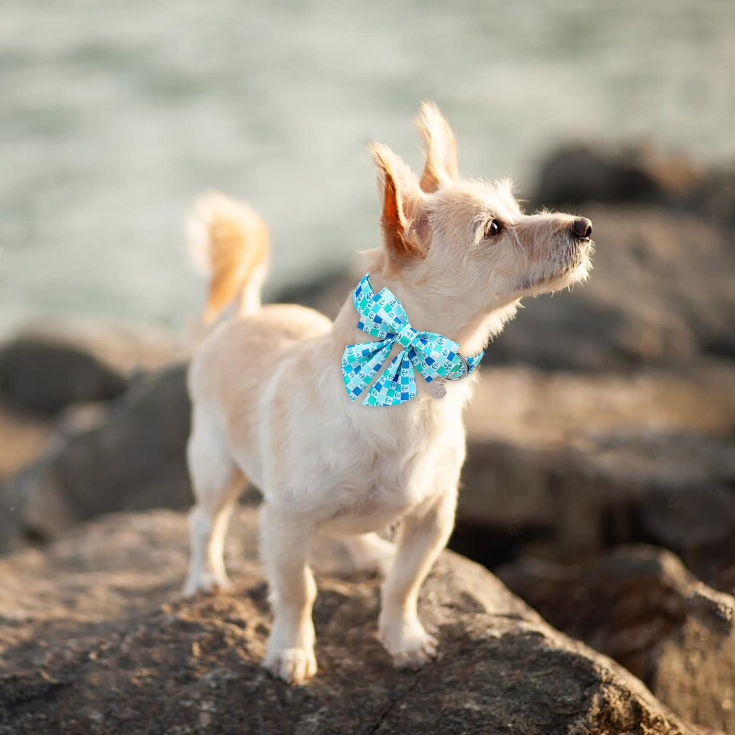 American Flag Dog Collar with Bow Tie, 4th of July Comfortable Cotton Cute Dog Collar with Metal Buckle, Patriotic Bowtie Collar for Puppy Girl Boy Dog, XL, Neck 16-26in