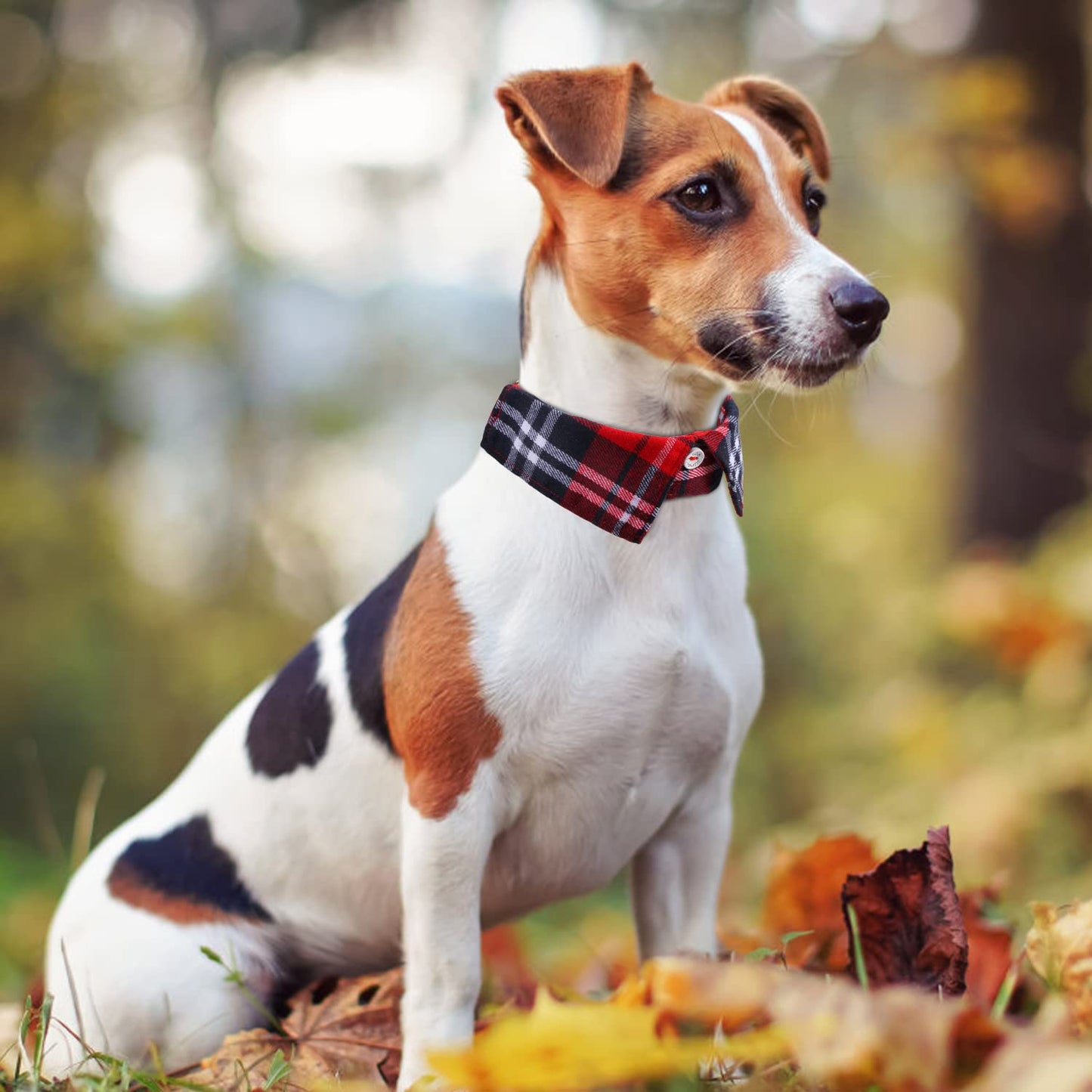 Faleela Soft &Comfy Bowtie Dog Collar,Detachable and Adjustable Bow Tie Collar,for Small Medium Large Pet (S, Blue)