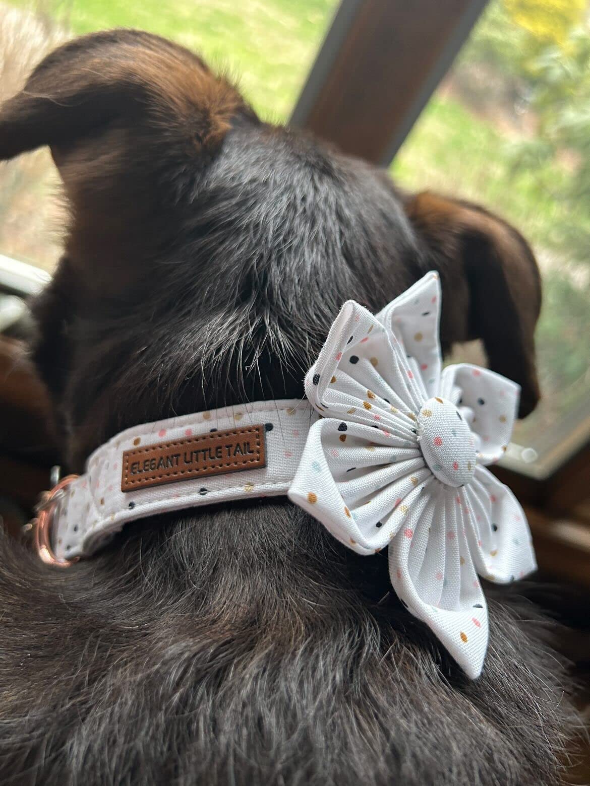 Elegant little tail Sunflower Girl Dog Collar for Female Dogs, Pet Collar Adjustable Dog Collars with Flower Gift for Medium Dogs