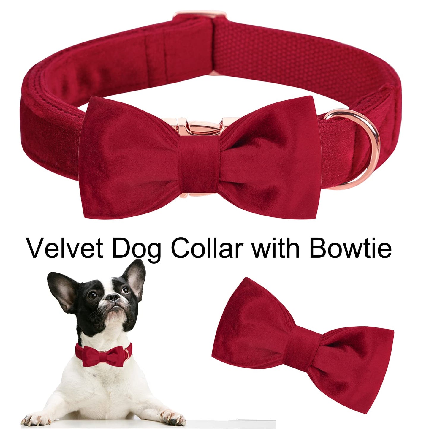 ARING PET Dog Collars with Bowtie-Velvet Dog Bow tie Collar, Adjustable Dark Green Dog Collar