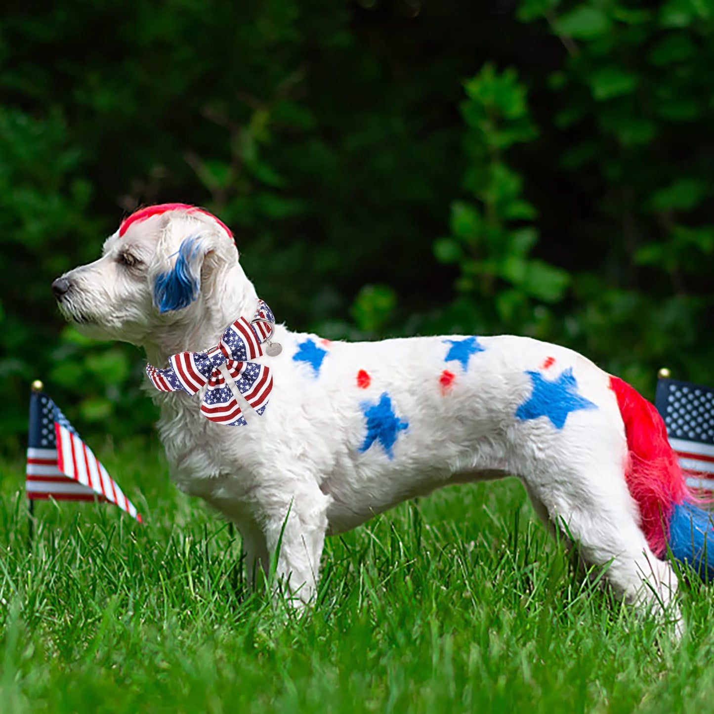 American Flag Dog Collar with Bow Tie, 4th of July Comfortable Cotton Cute Dog Collar with Metal Buckle, Patriotic Bowtie Collar for Puppy Girl Boy Dog, XL, Neck 16-26in