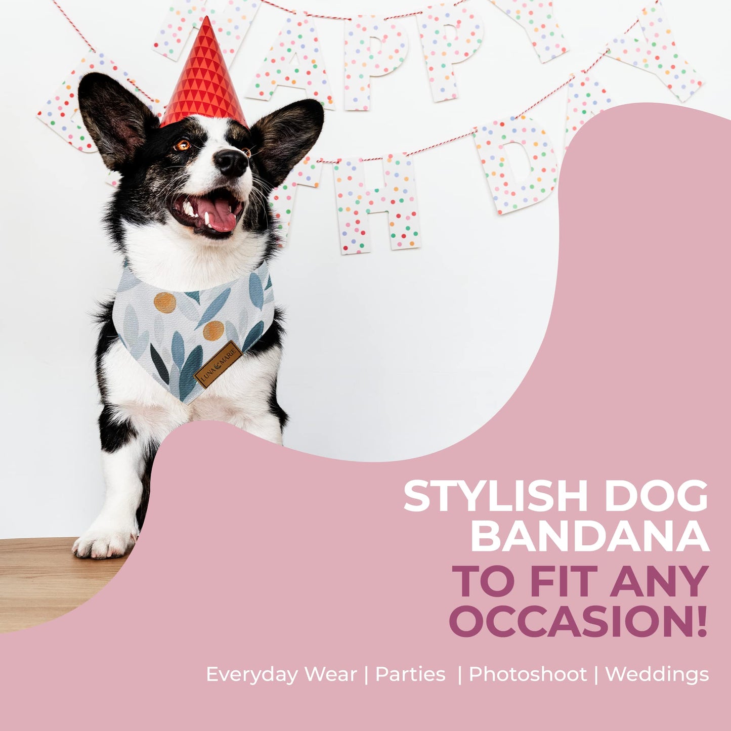 Luxury Pet Birthday Bandanas -Premium & Silky Poly Fabric | 100% Handmade | Custom Shape Dual Layered (Birthday Girl, Medium)