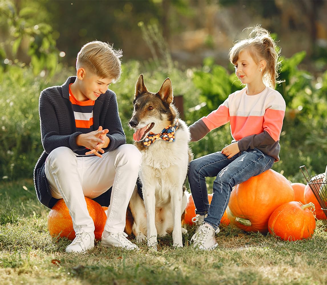 Tunkoo Happy Halloween Dog Collar with Pumpkin - Durable, Adjustable, and Stylish Pet Collar Available in Small, Medium, Large S