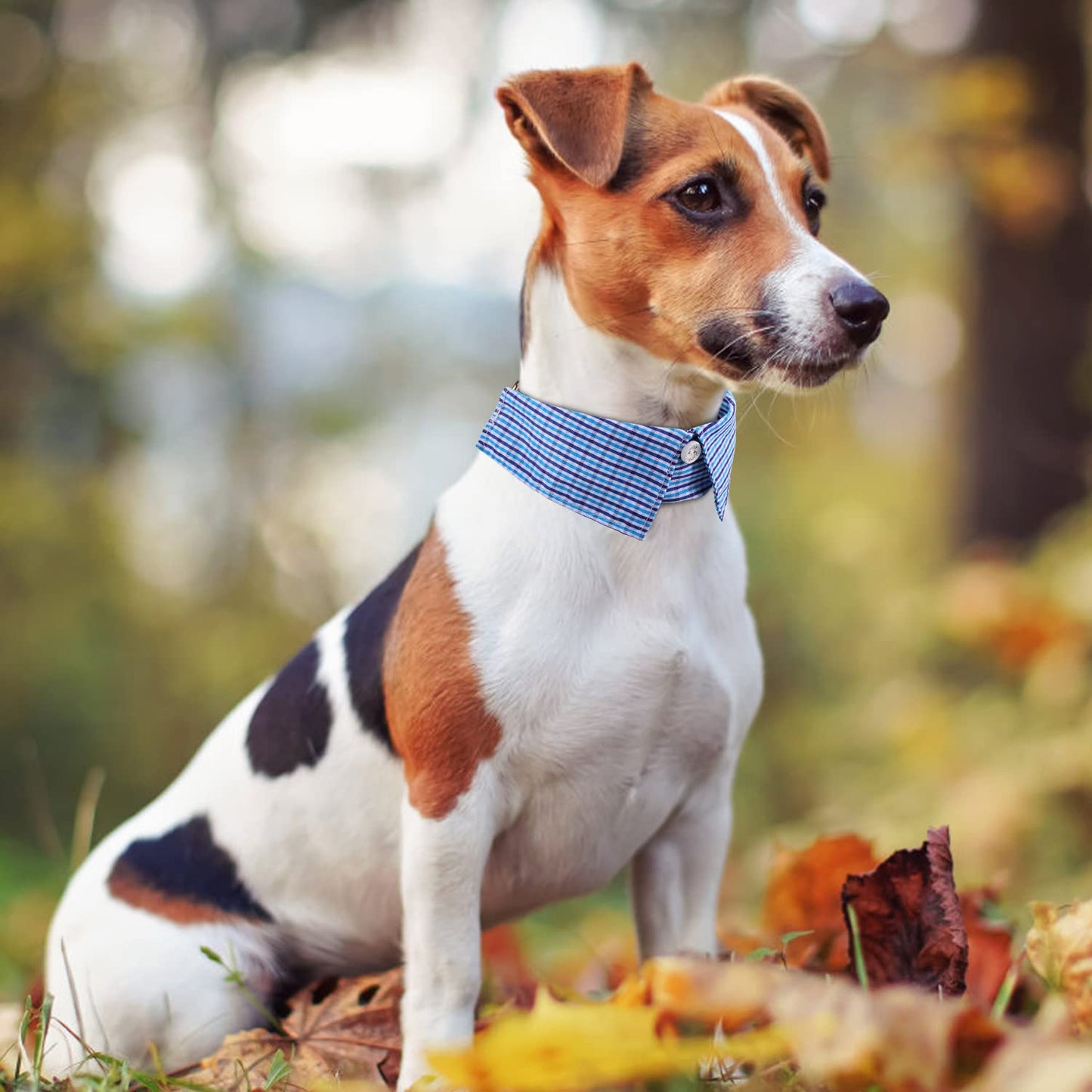 Faleela Soft &Comfy Bowtie Dog Collar,Detachable and Adjustable Bow Tie Collar,for Small Medium Large Pet (S, Blue)