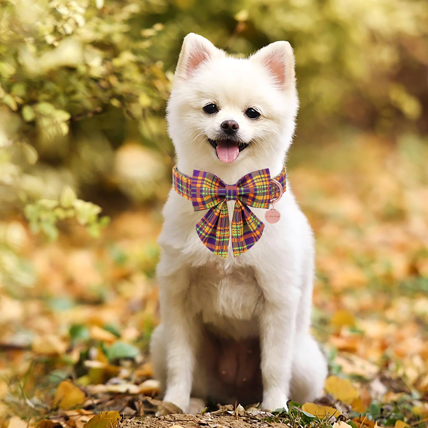 Thanksgiving Dog Collar with Bow Tie, Turkey Cotton Bowtie Collar for Puppy Girl Dog or Cat, Autumn Bow Tie Collar with Durable Metal Buckle, Turkeys Pet Collar, S, Neck 10-16in