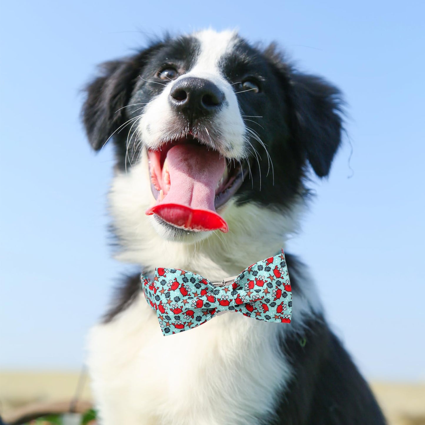 Dog Collar with Bow Tie,UP URARA PUP Pink Plaid Bowtie Dog Collar, Summer Bowtie Collar for Puppy Boy Girl Dog, Comfortable Cotton Dog Collar with Metal Buckle,M,Neck 13.5-22in