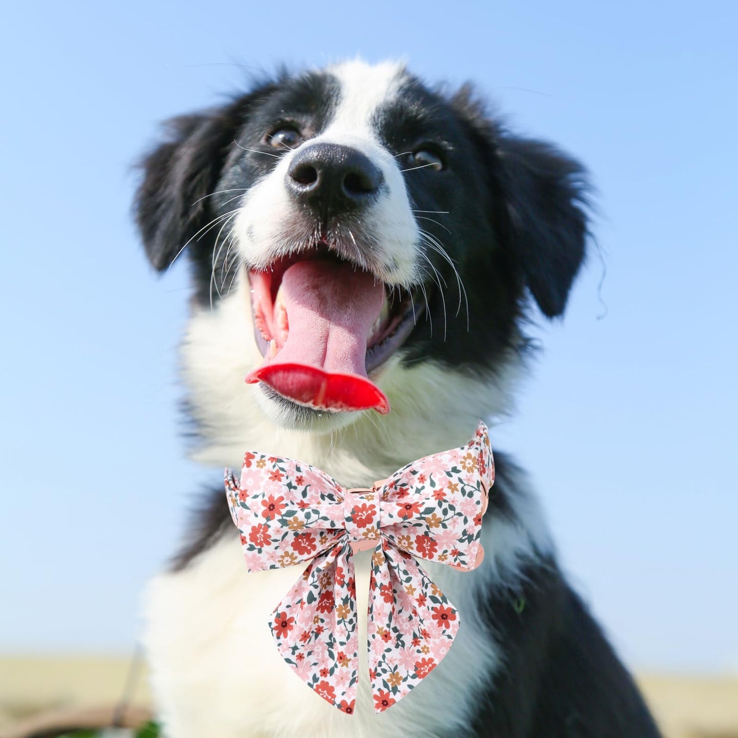 Dog Collar with Bow Tie,UP URARA PUP Pink Plaid Bowtie Dog Collar, Summer Bowtie Collar for Puppy Boy Girl Dog, Comfortable Cotton Dog Collar with Metal Buckle,M,Neck 13.5-22in