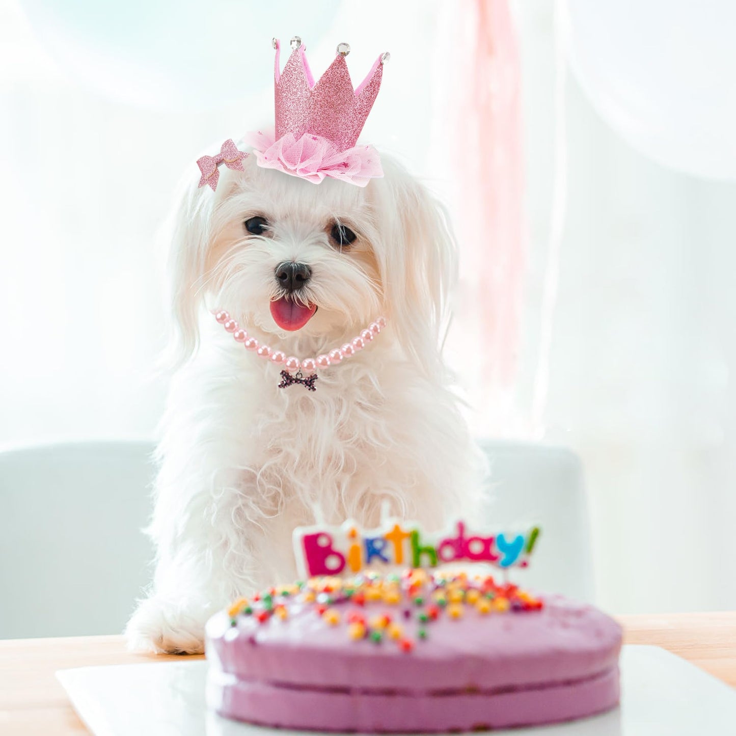 Dog Birthday Party Supplies Dog Birthday Outfit Pink Tutu for Dogs Dog Birthday Hat Necklace and Bowtie Hairpin for Dogs (16-23 inch Wrist)