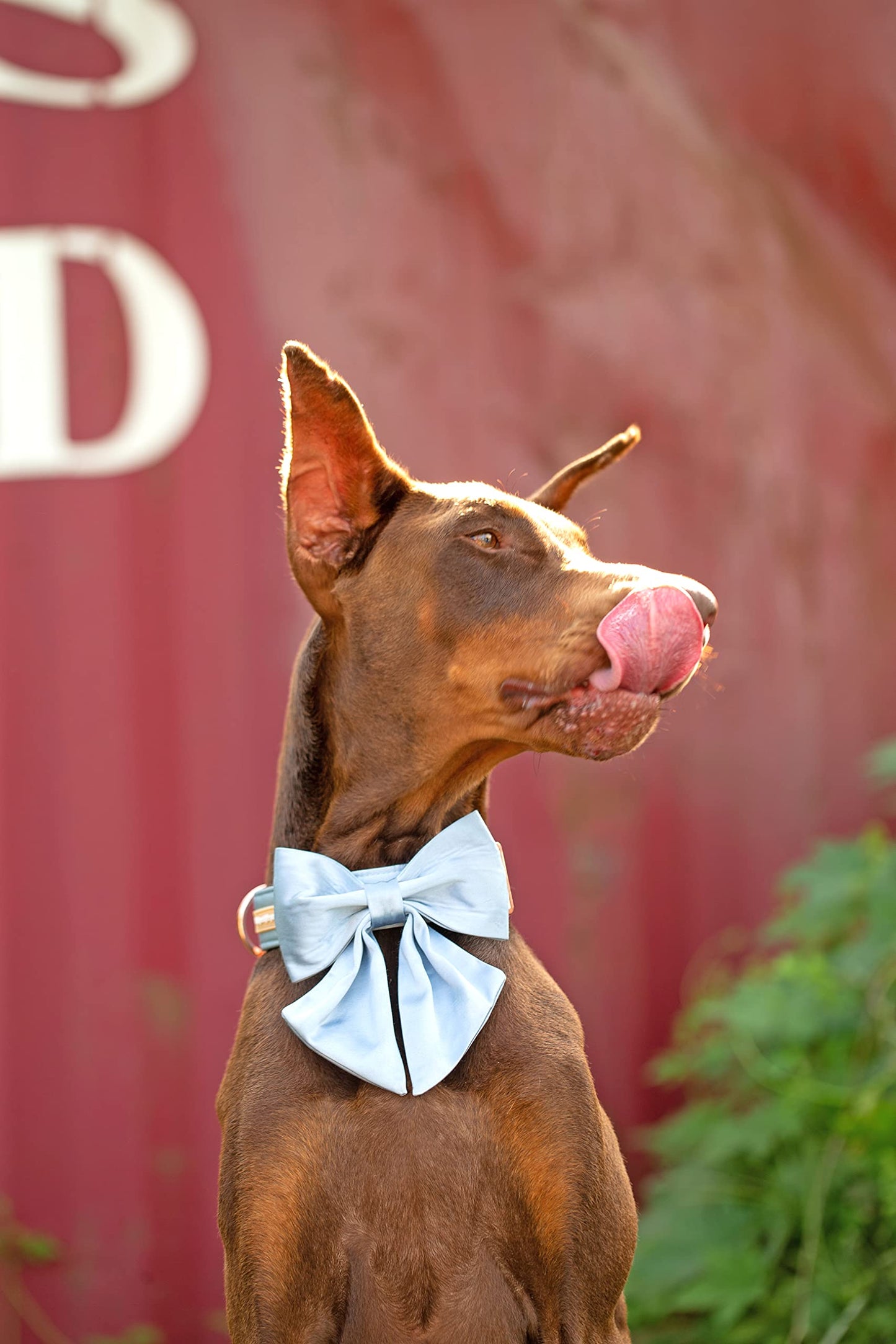 Unique style paws Silk Pink Color Dog Collar Adjustable Durable Dog Collar with Bow Wedding Bowtie Collar for Small Puppy and Cats