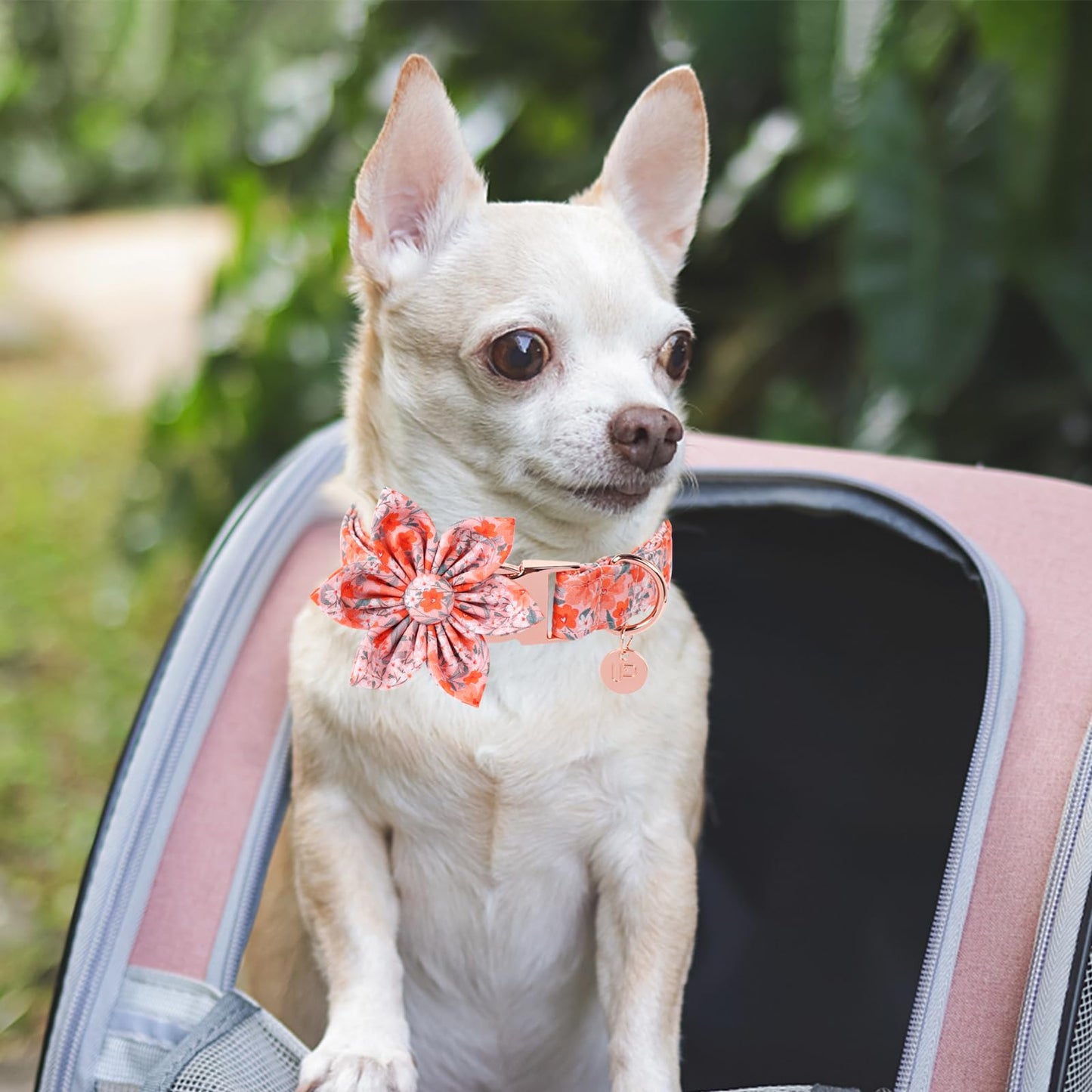 Dog Collar with Bow Tie,UP URARA PUP Pink Plaid Bowtie Dog Collar, Summer Bowtie Collar for Puppy Boy Girl Dog, Comfortable Cotton Dog Collar with Metal Buckle,M,Neck 13.5-22in