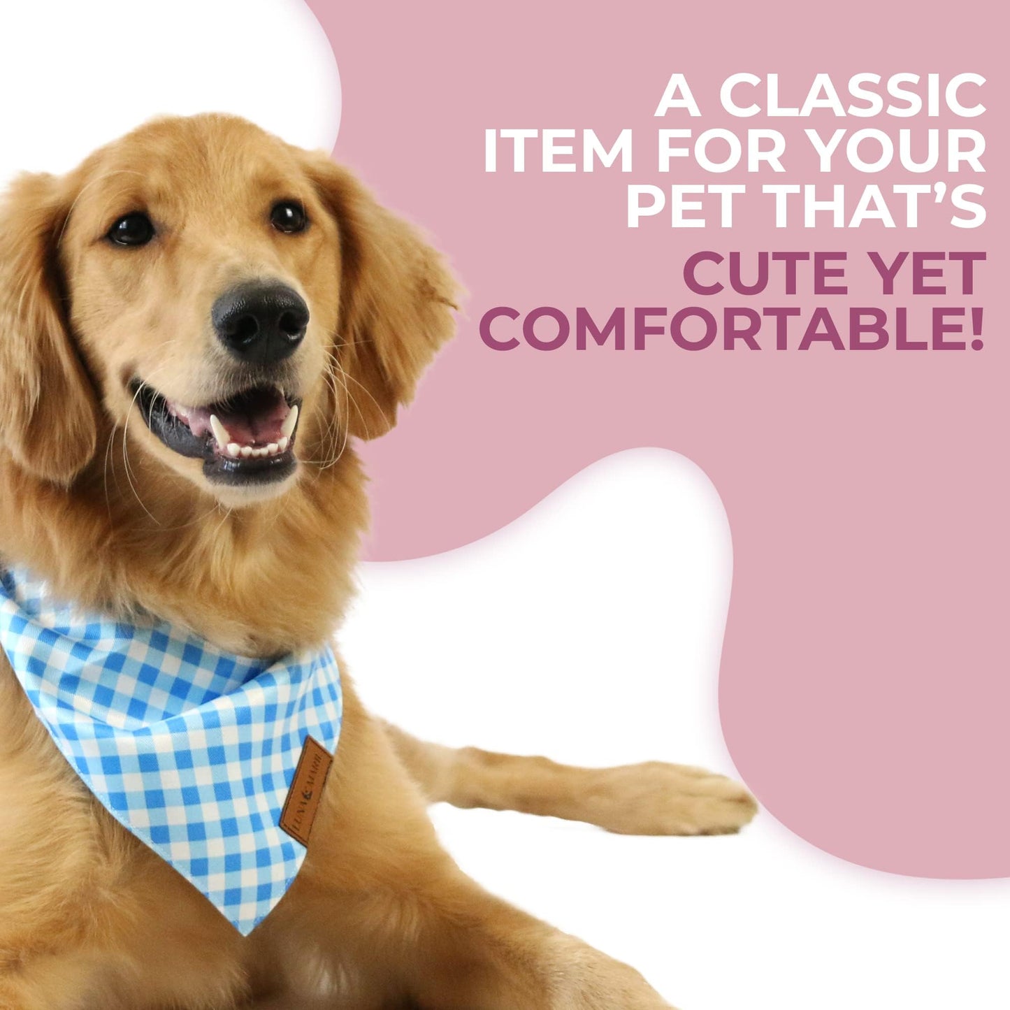 Luxury Pet Birthday Bandanas -Premium & Silky Poly Fabric | 100% Handmade | Custom Shape Dual Layered (Birthday Girl, Medium)