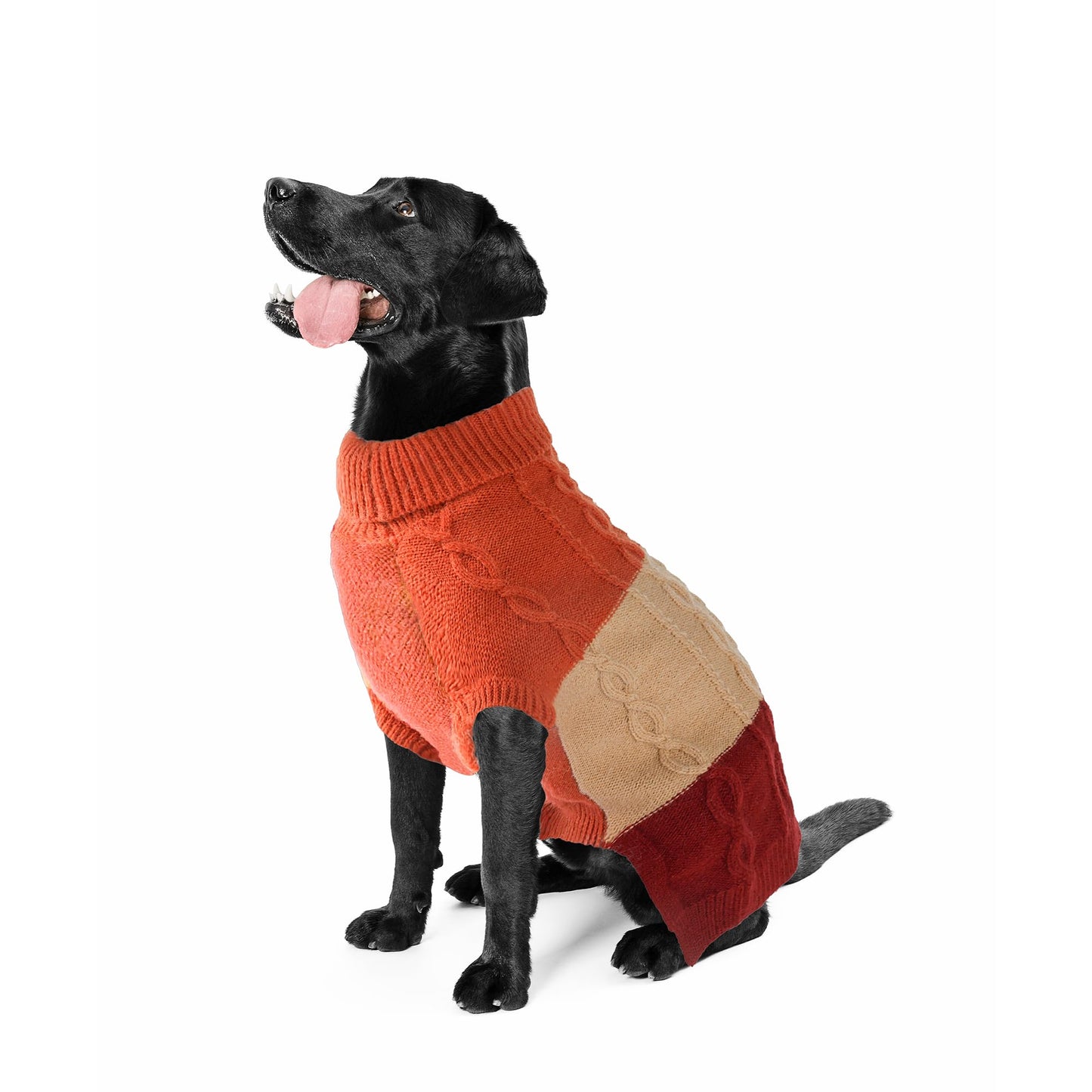 NACOCO Dog Sweater Color Block - Halloween Cat Knitted Clothes Pet Fashion Sweatshirt Soft Vest Thickening Winter Warm Knitwear Outfits Apparel for Small Medium Dog Puppy Kitten(Orange, M)