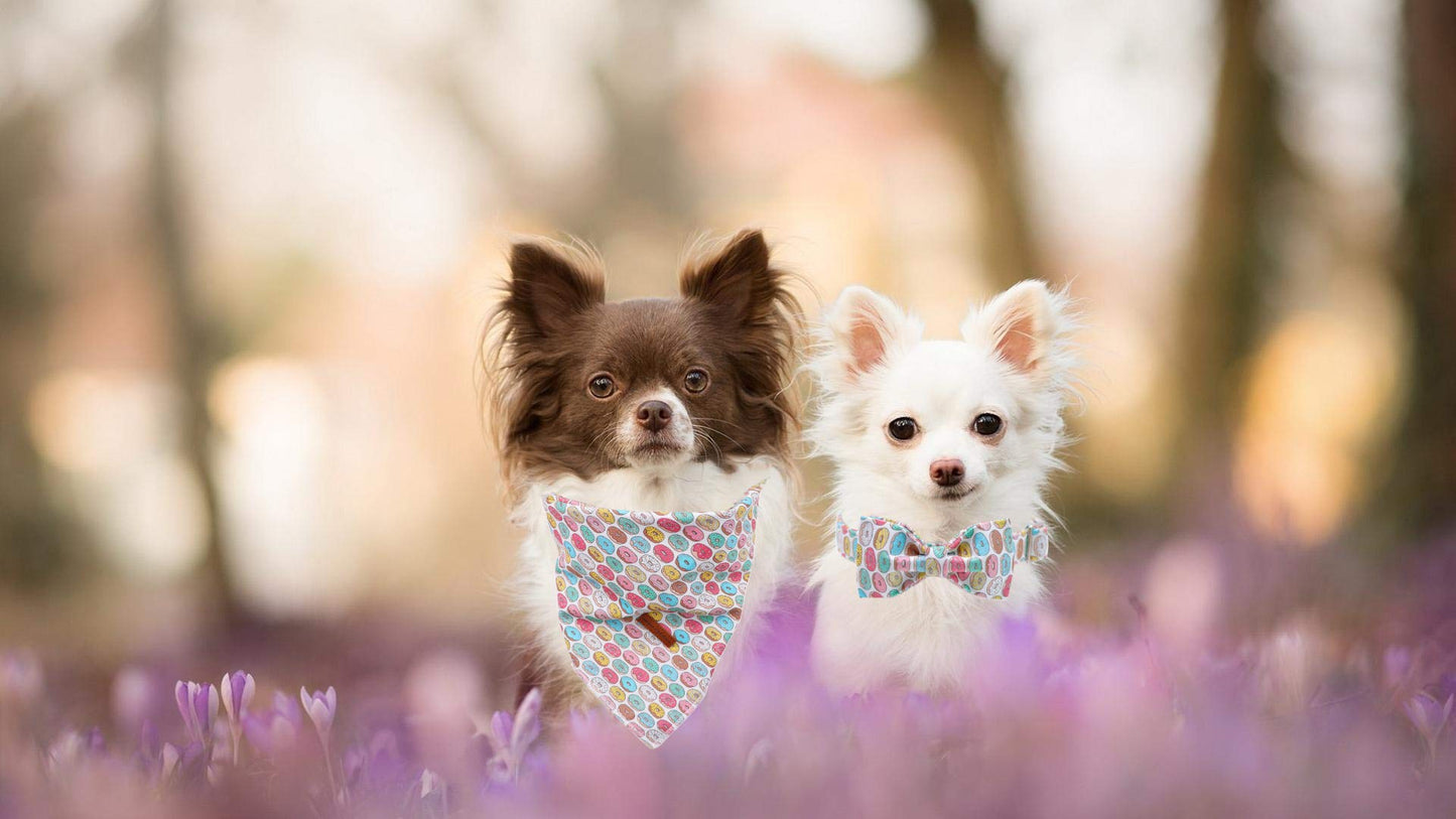 Unique Style Paws Cotton Dog Collar with Bow Halloween Pumpkin Plaid Dog Collar with Bow Tie for Small Medium Large Dogs Pets Gifts