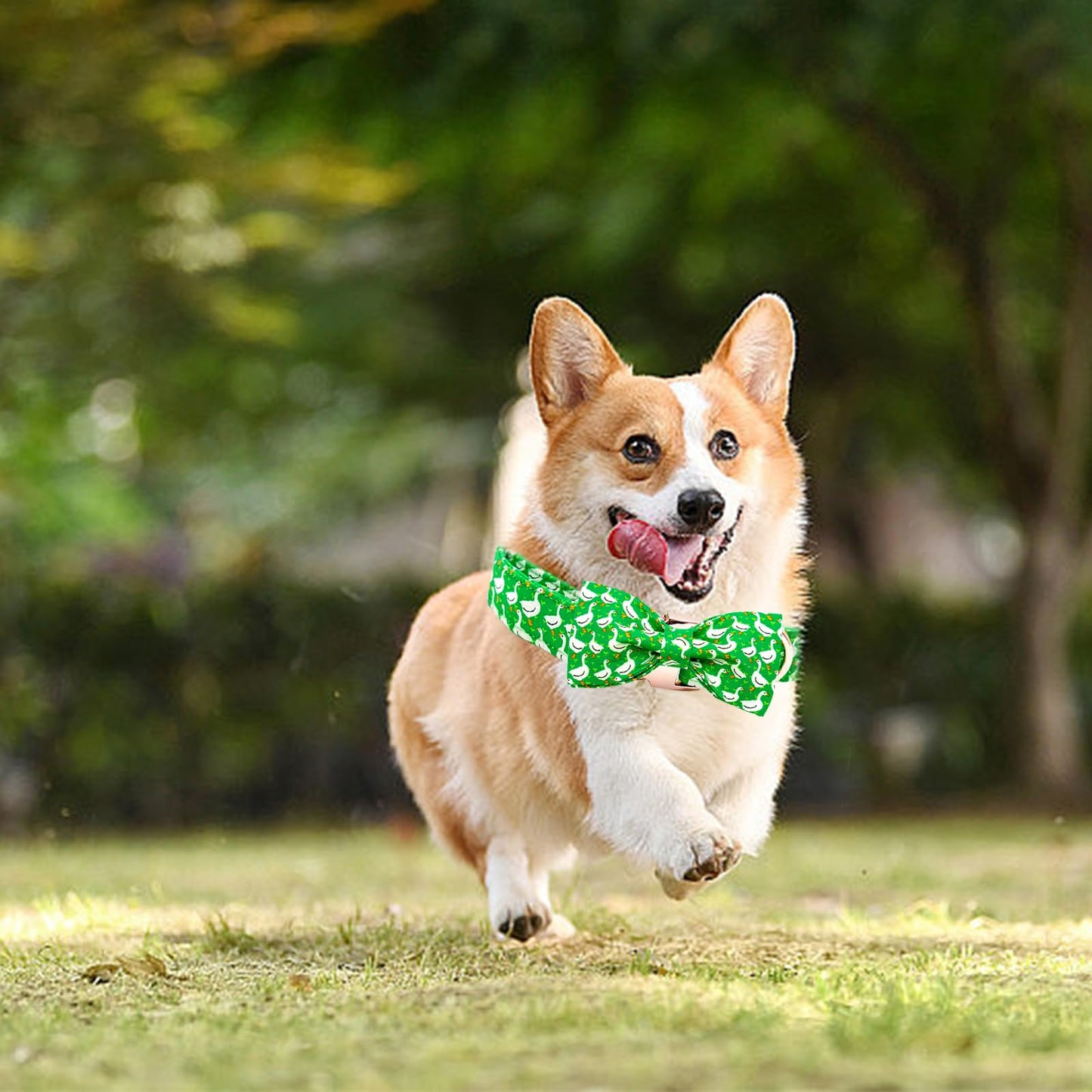 Dog Collar, Shark Print Bowtie Dog Collar Boy Pet Collar Bow Tie Collar for Dogs Soft Durable Adjustable Dog Collars for Small Dogs