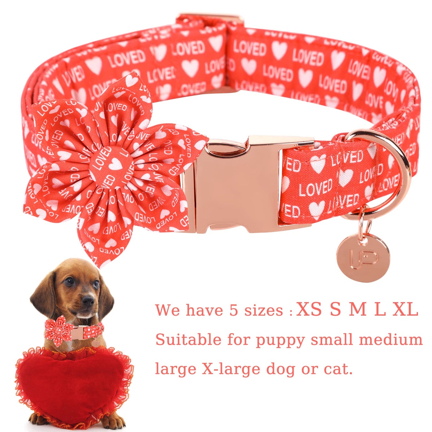 Valentine’s Day Dog Collar with Bow Tie, Valentine Bowtie Collar with Metal Buckle, Valentine’s Day Gift Pet Collar for Medium Girl Boy Dog, Wedding Dog Collar, Red, M, Neck 13.5-22in