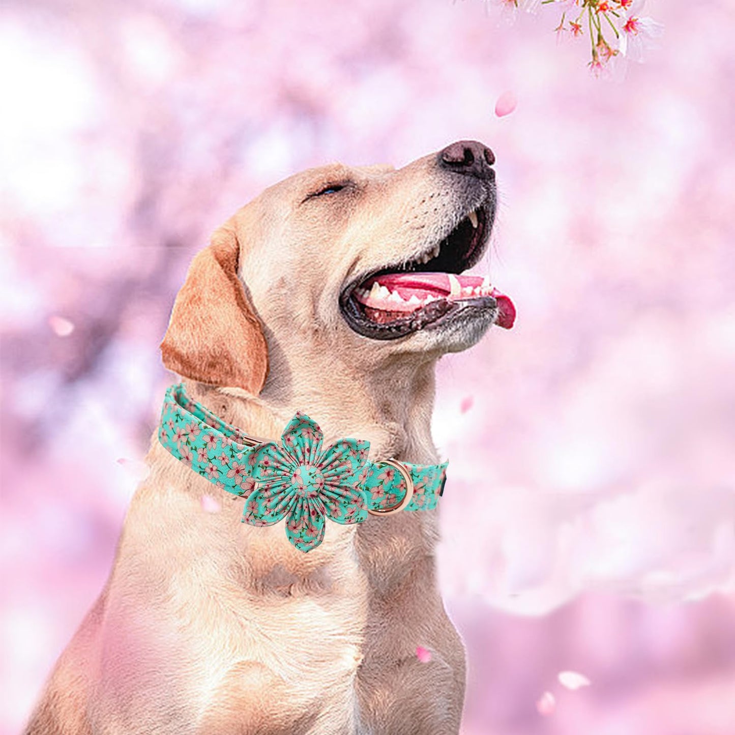 Elegant little tail Sunflower Girl Dog Collar for Female Dogs, Pet Collar Adjustable Dog Collars with Flower Gift for Medium Dogs