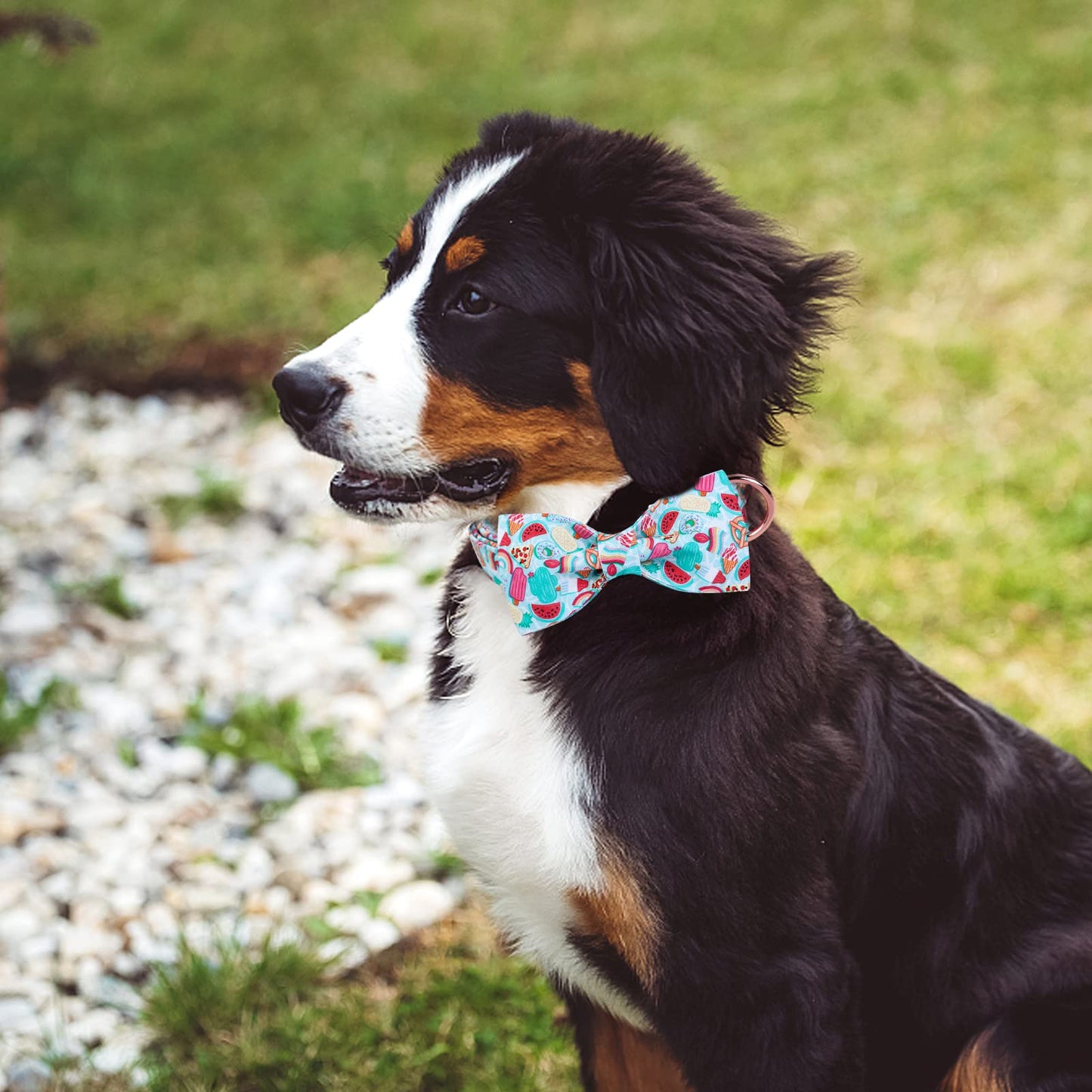 Maca Bates Duck Dog Collar with Bow Bowtie for Dogs Bow Tie Adjustable Breakaway Green Summer Thick Collars Accessories Birthday Gift Colar for XS Small Medium Large XL Boy Girl Male Female Puppy Pet