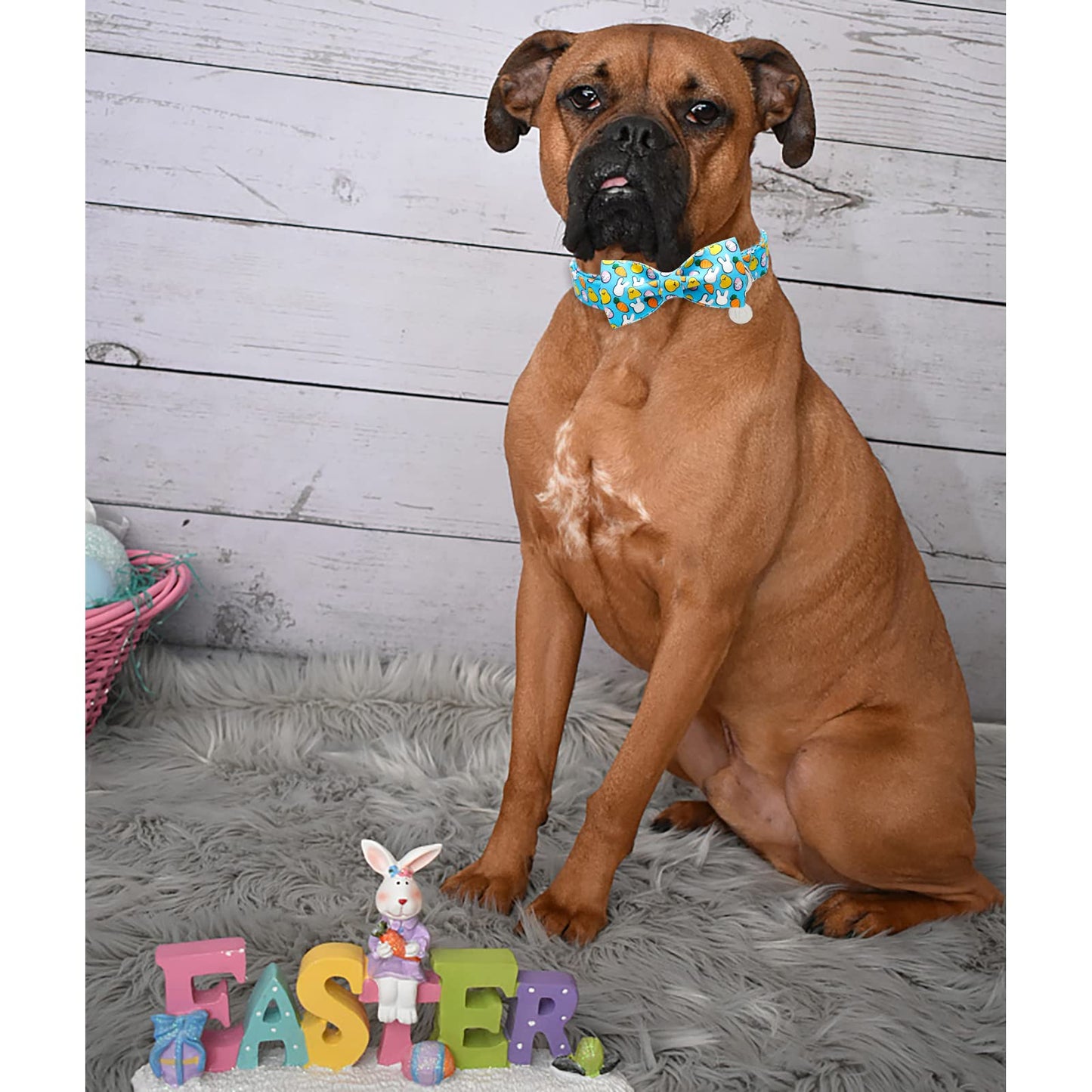 Easter Dog Collar with Bow Tie, Cotton Easter Bowtie Collar for Small Girl Boy Dog, Cute Carrot Pet Collar with Metal Buckle, Easter Day Gift Dog Collar, Blue, S, Neck 10-16in