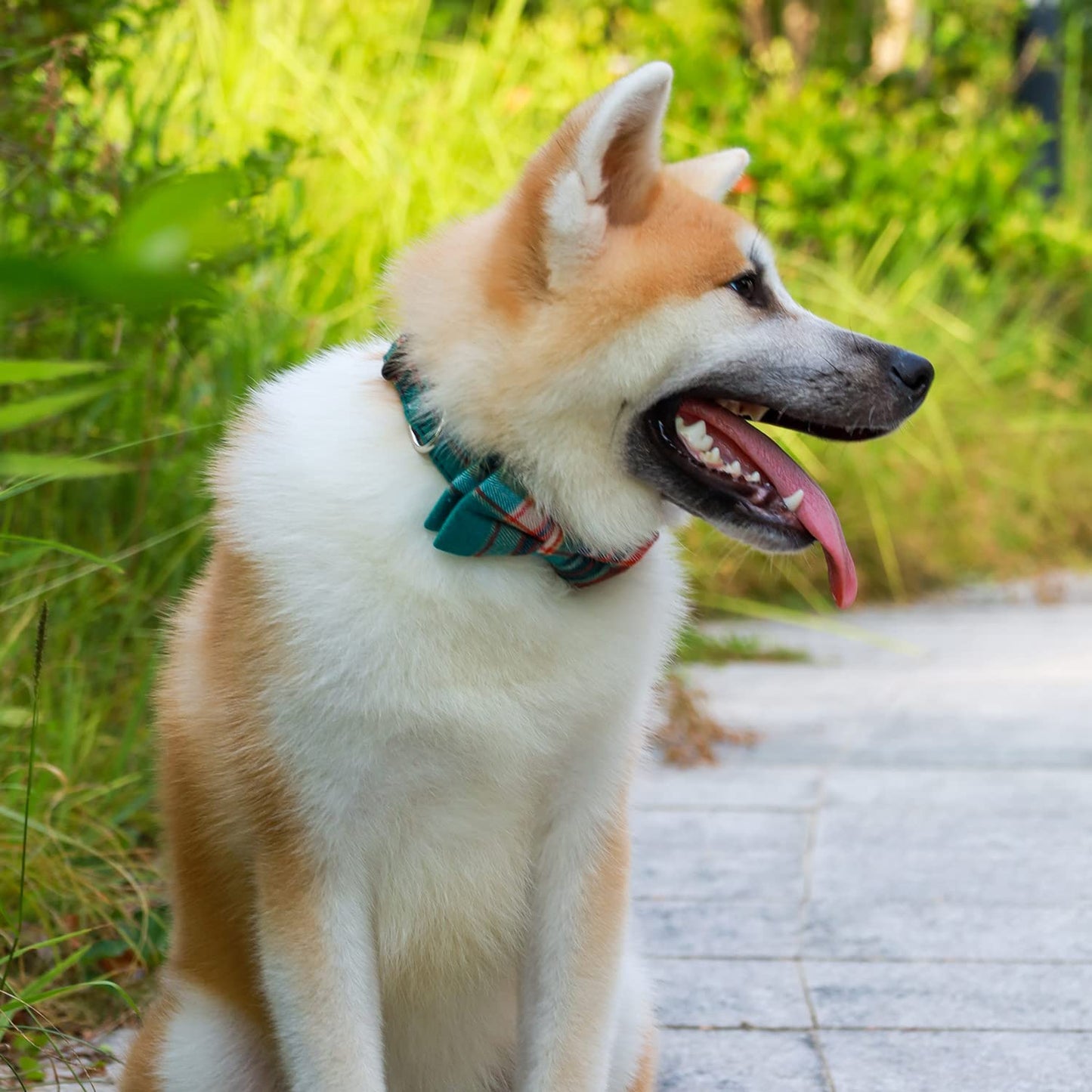 Faleela Soft &Comfy Bowtie Dog Collar,Detachable and Adjustable Bow Tie Collar,for Small Medium Large Pet (S, Blue)