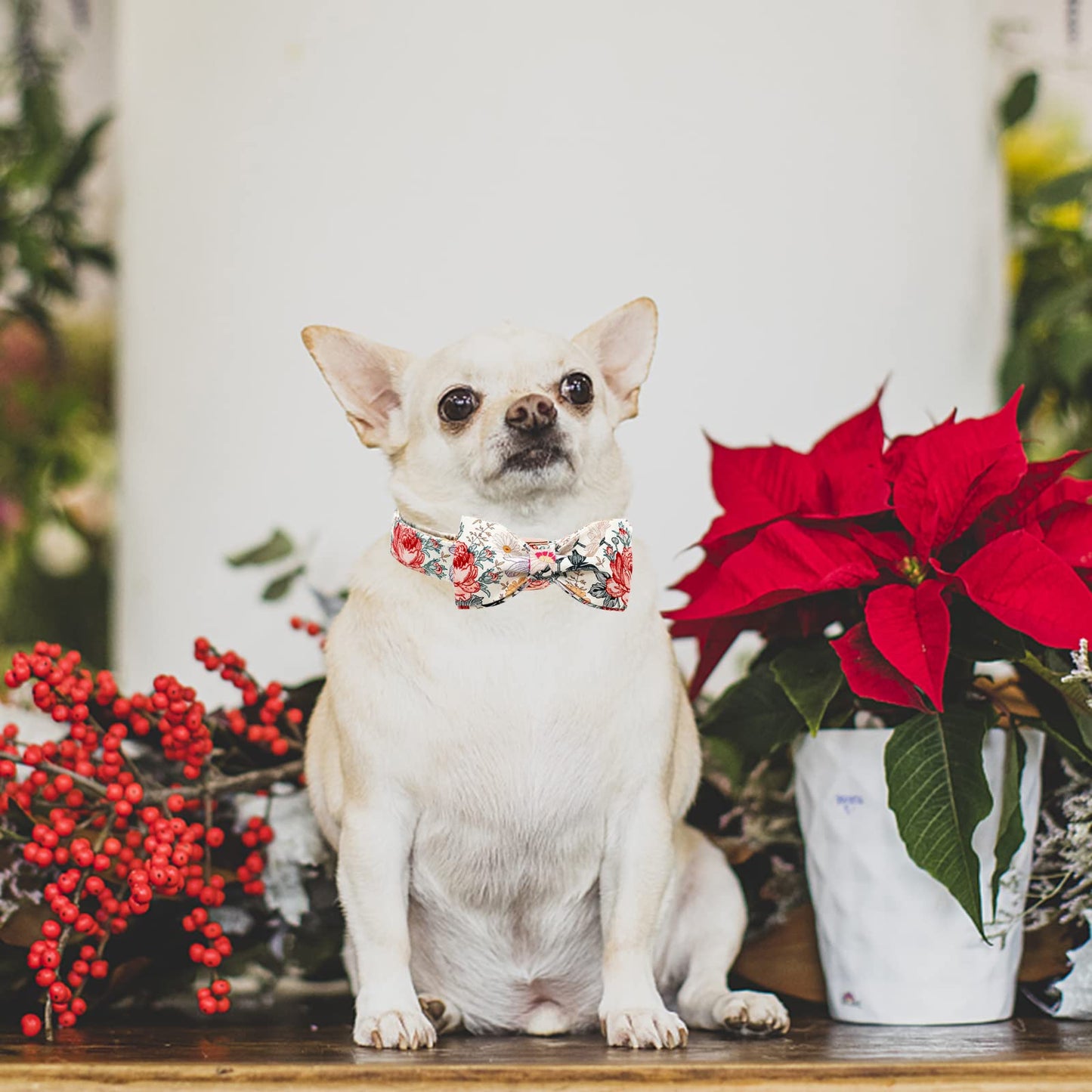 Elegant little tail Vintage Floral Dog Collar with Bow, Comfotable Dog Bowtie, Dog Collar Bow Adjustable Dog Collars for Small Medium Large Dogs