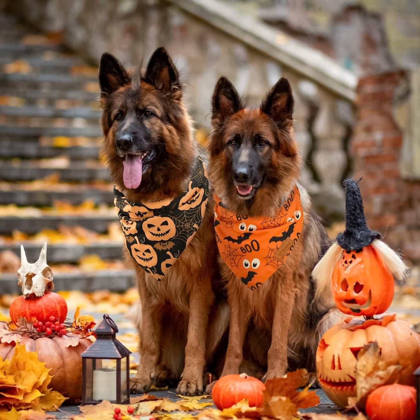 Vehomy 3-Pack Halloween Dog Bandana Pet Halloween Bandanas Reversible Dog Cat Halloween Bandanas Triangle Scarfs Bibs with Spiders Bats Pumpkins Patterns for Puppy Kitten Small Medium Large Dogs