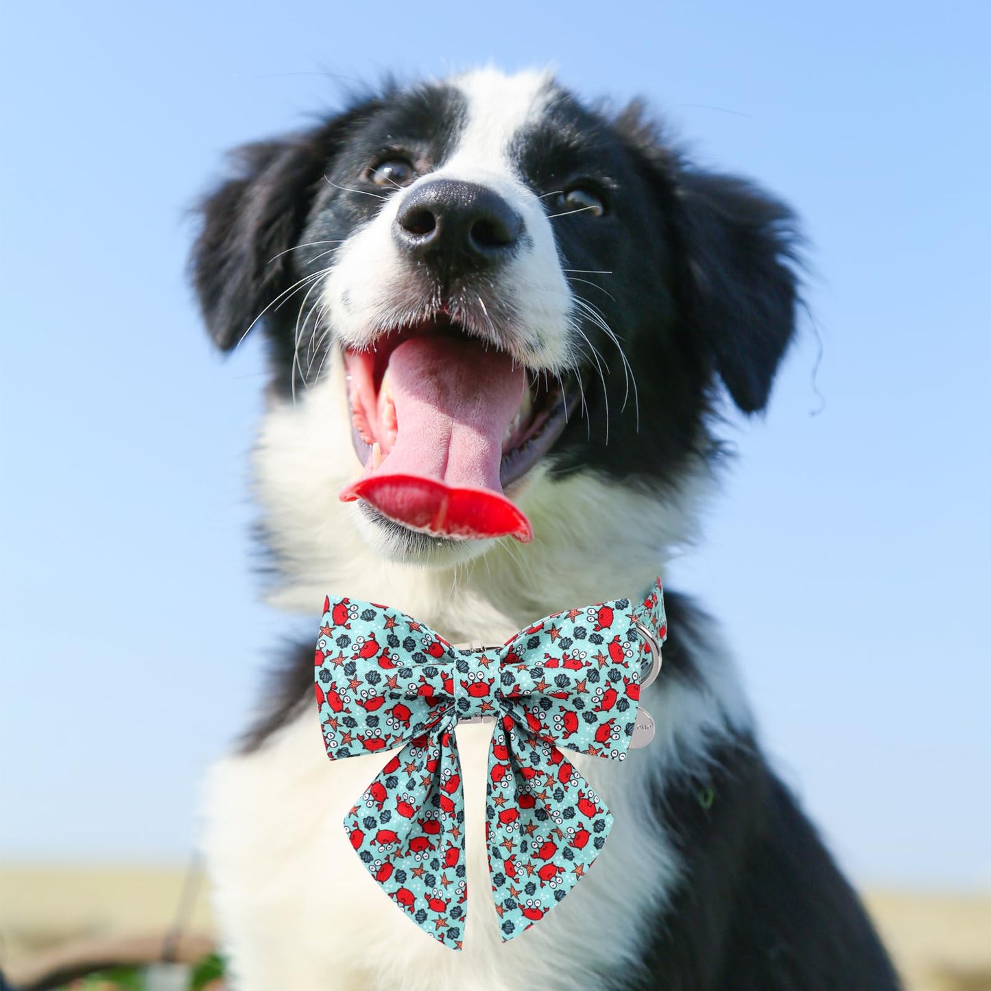 Dog Collar with Bow Tie,UP URARA PUP Pink Plaid Bowtie Dog Collar, Summer Bowtie Collar for Puppy Boy Girl Dog, Comfortable Cotton Dog Collar with Metal Buckle,M,Neck 13.5-22in