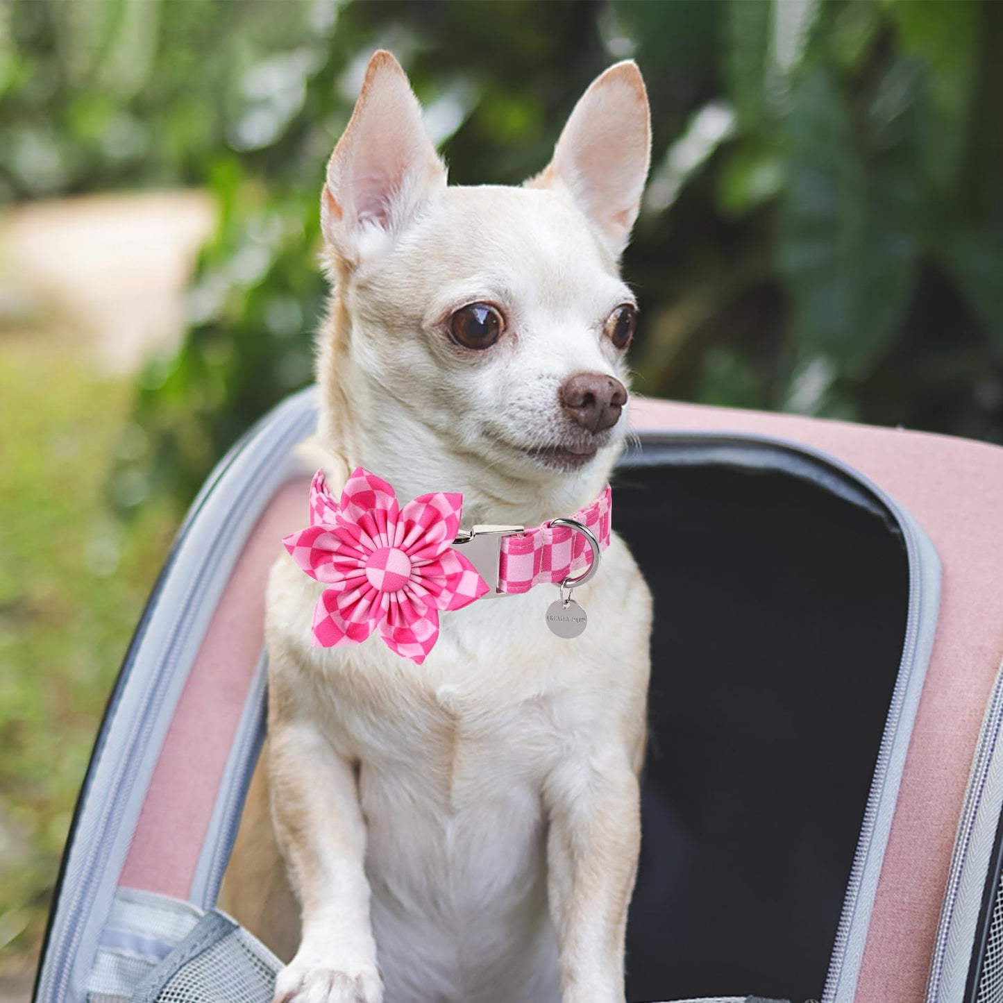 Dog Collar with Bow Tie,UP URARA PUP Pink Plaid Bowtie Dog Collar, Summer Bowtie Collar for Puppy Boy Girl Dog, Comfortable Cotton Dog Collar with Metal Buckle,M,Neck 13.5-22in