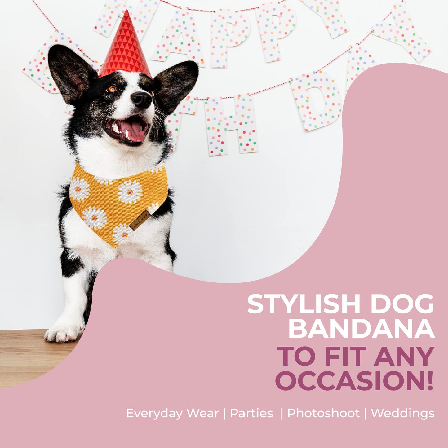 Luxury Pet Birthday Bandanas -Premium & Silky Poly Fabric | 100% Handmade | Custom Shape Dual Layered (Birthday Girl, Medium)