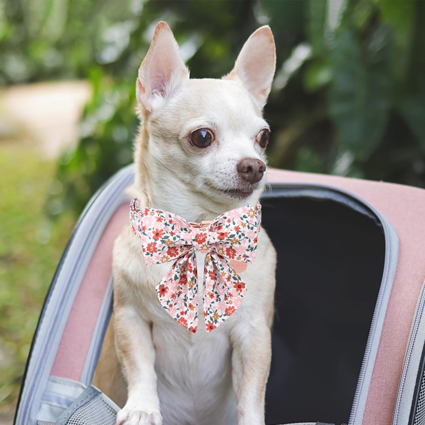 Dog Collar with Bow Tie,UP URARA PUP Pink Plaid Bowtie Dog Collar, Summer Bowtie Collar for Puppy Boy Girl Dog, Comfortable Cotton Dog Collar with Metal Buckle,M,Neck 13.5-22in