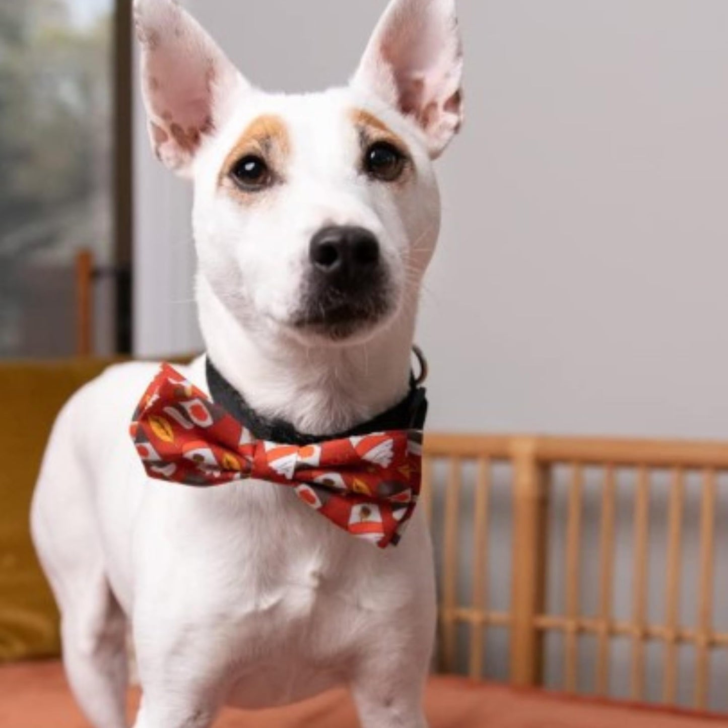 Huxley & Kent Bow Tie for Pets | Fall Check (Extra-Large) | Bow Tie Collar Attachment | Fun Bow Ties for Dogs & Cats | Cute, Comfortable, and Durable | H&K Bow Tie