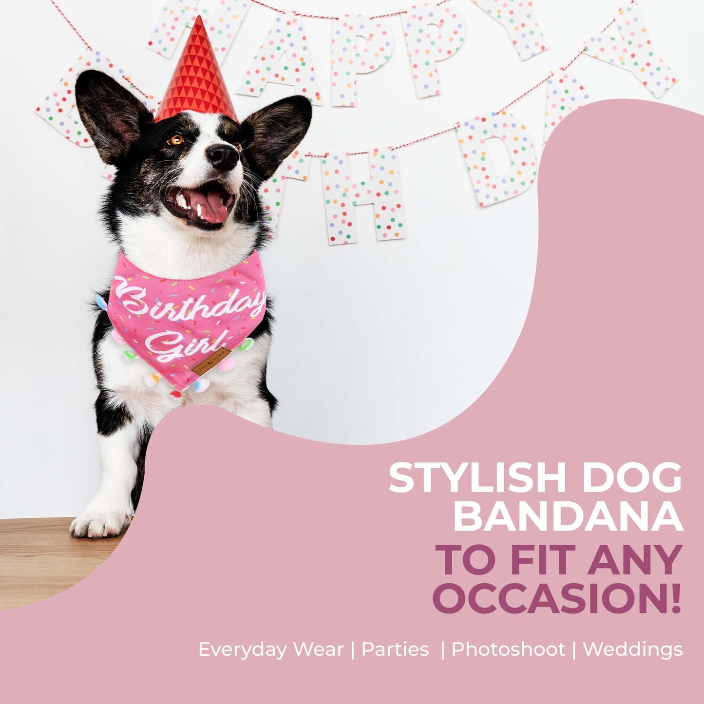 Luxury Pet Birthday Bandanas -Premium & Silky Poly Fabric | 100% Handmade | Custom Shape Dual Layered (Birthday Girl, Medium)