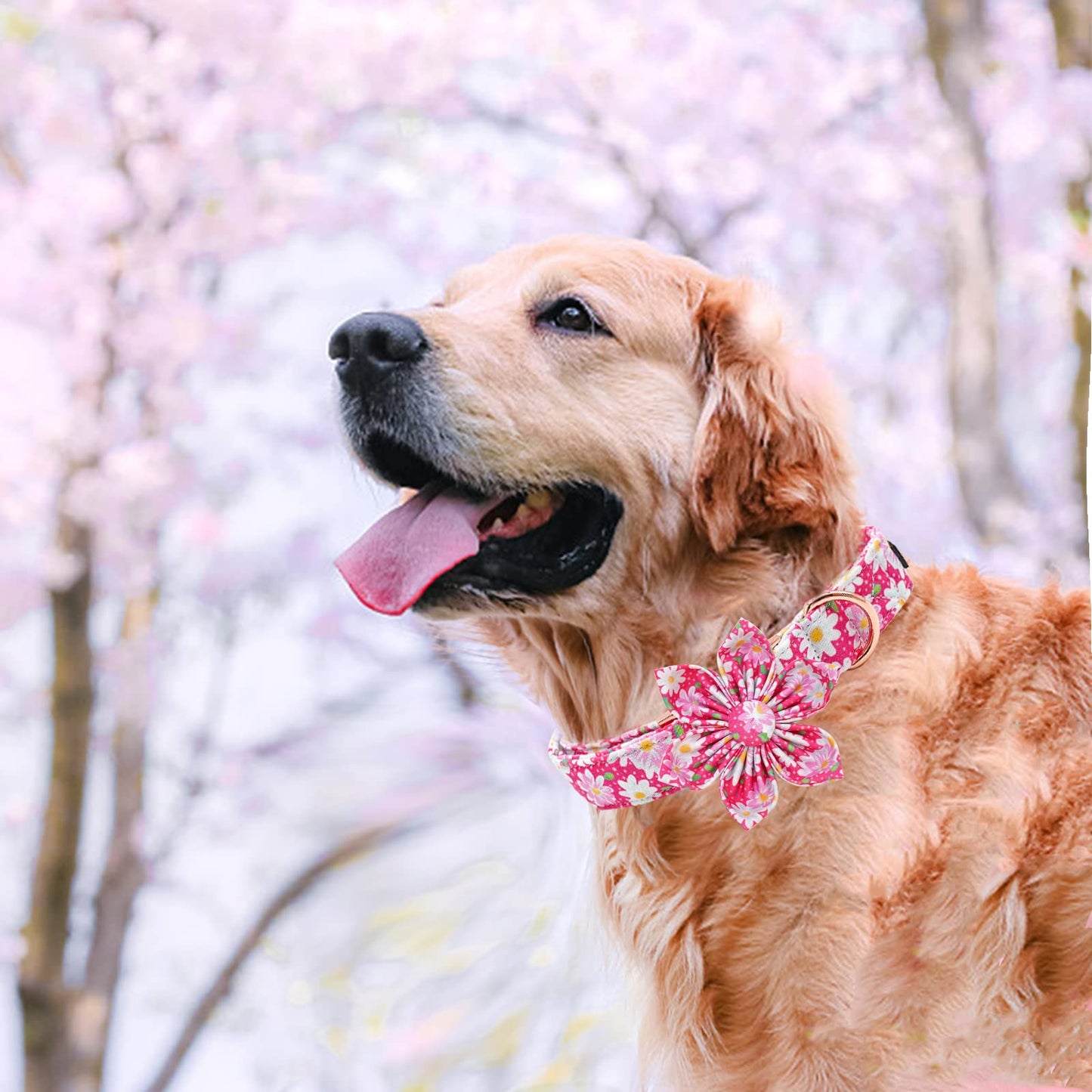 Elegant little tail Sunflower Girl Dog Collar for Female Dogs, Pet Collar Adjustable Dog Collars with Flower Gift for Medium Dogs