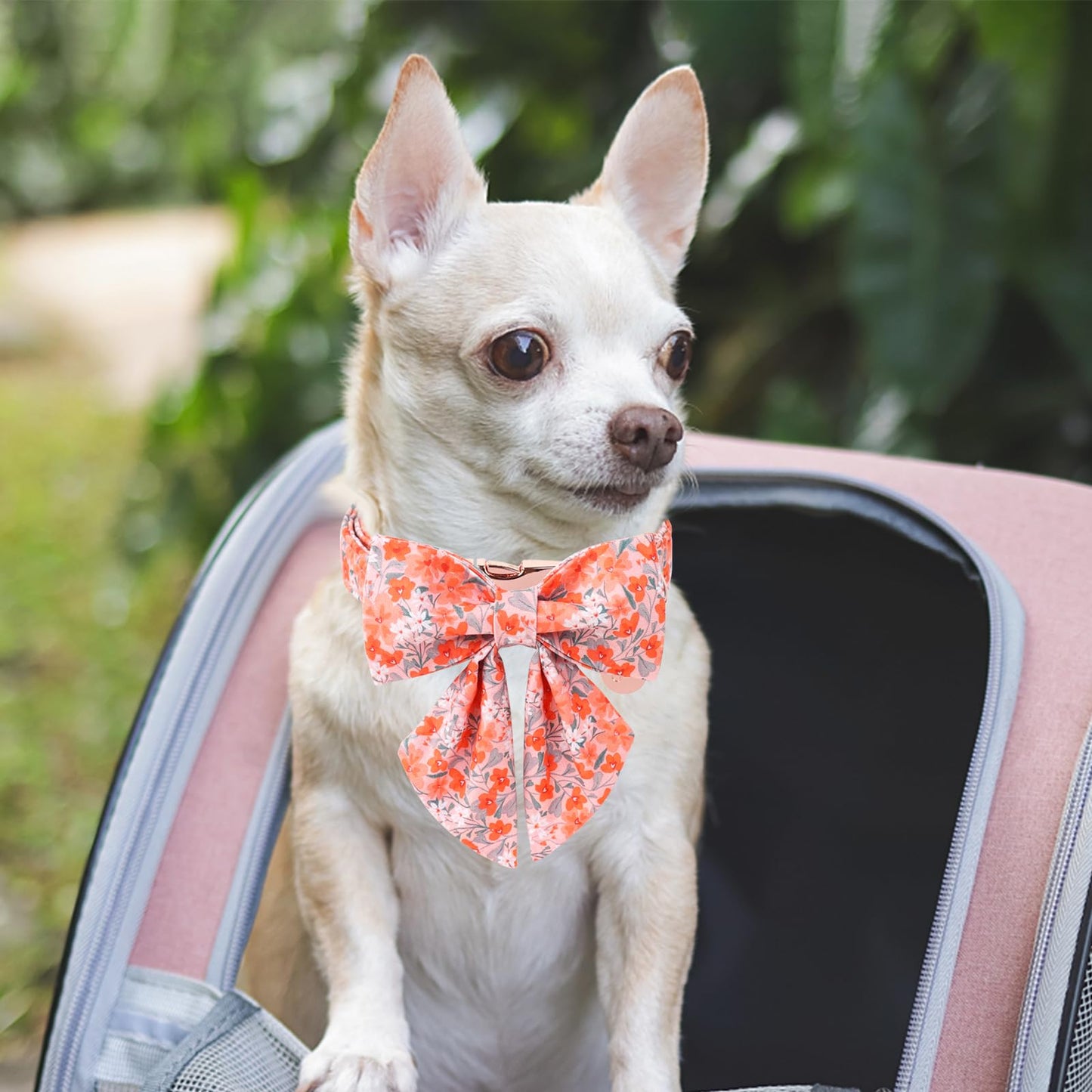 Dog Collar with Bow Tie,UP URARA PUP Pink Plaid Bowtie Dog Collar, Summer Bowtie Collar for Puppy Boy Girl Dog, Comfortable Cotton Dog Collar with Metal Buckle,M,Neck 13.5-22in