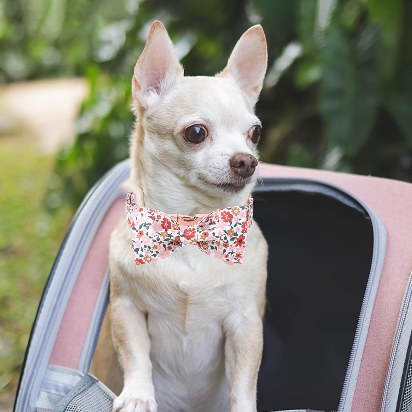 Dog Collar with Bow Tie,UP URARA PUP Pink Plaid Bowtie Dog Collar, Summer Bowtie Collar for Puppy Boy Girl Dog, Comfortable Cotton Dog Collar with Metal Buckle,M,Neck 13.5-22in