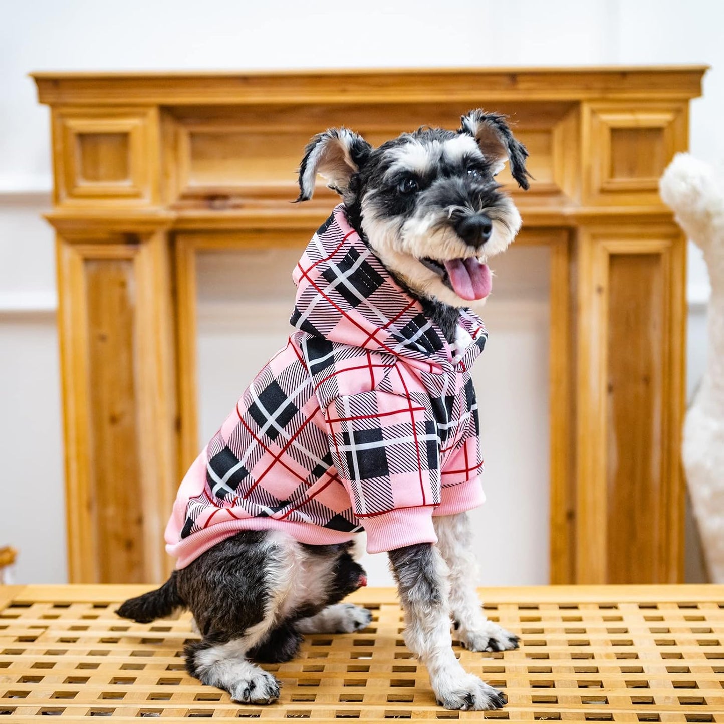 EXPAWLORER Plaid Dog Hoodie - British Style Soft and Warm Dog Sweater with Leash Hole, Hooded Cold Weather Clothes, Dog Sweatshirt, Outfits, Winter Coat for Small Medium Large Dogs