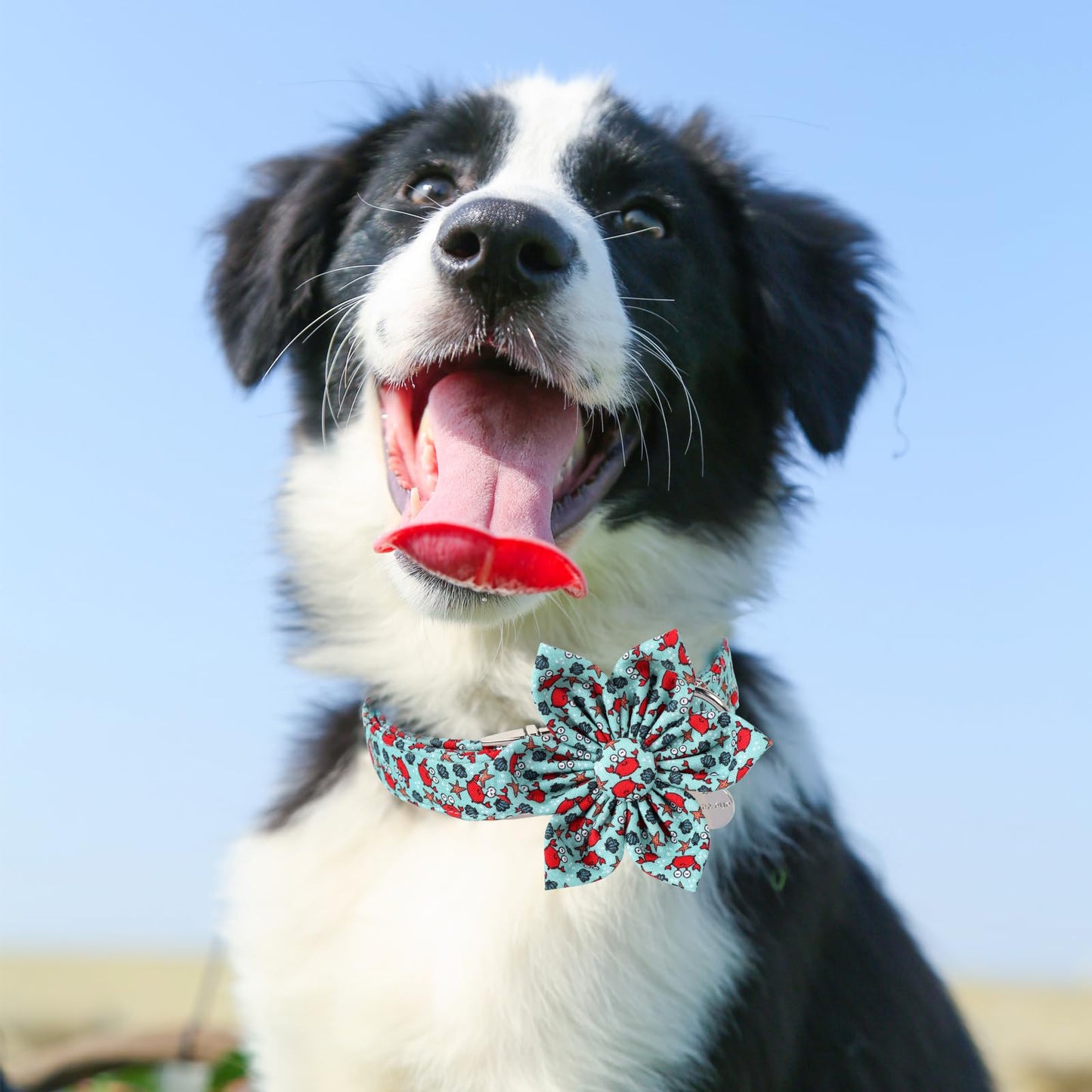 Dog Collar with Bow Tie,UP URARA PUP Pink Plaid Bowtie Dog Collar, Summer Bowtie Collar for Puppy Boy Girl Dog, Comfortable Cotton Dog Collar with Metal Buckle,M,Neck 13.5-22in