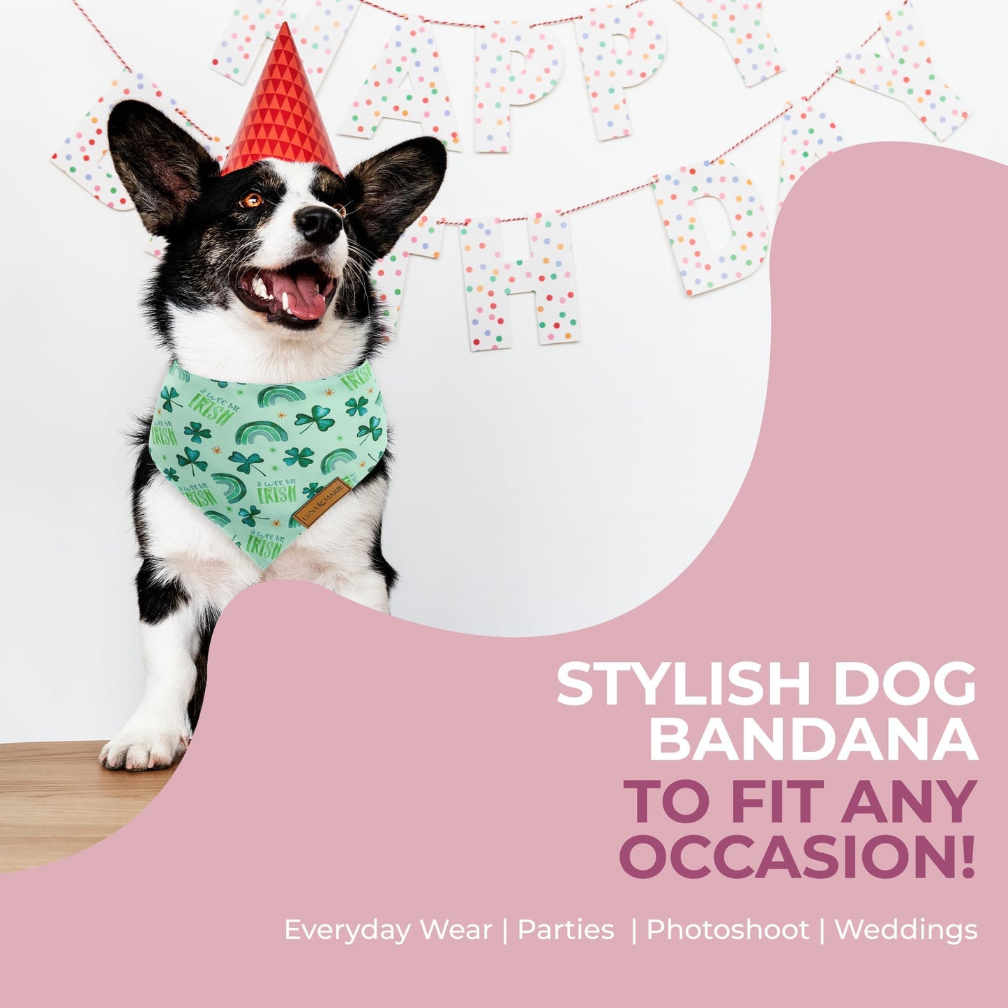 Luxury Pet Birthday Bandanas -Premium & Silky Poly Fabric | 100% Handmade | Custom Shape Dual Layered (Birthday Girl, Medium)