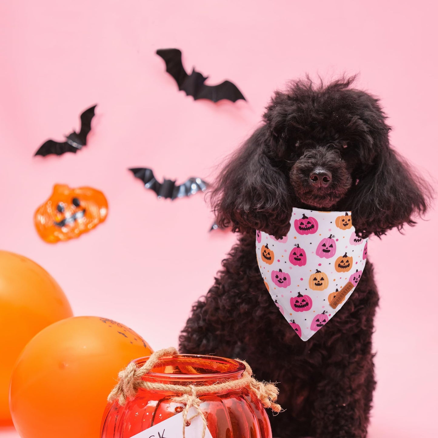 ADOGGYGO Halloween Dog Bandana, Halloween Pumpkin Ghost Dog Scarf, Premium Durable Fabric, Adjustable Fit Female Dog Halloween Bandanas for Medium Large Dogs Pets (Large, Halloween)