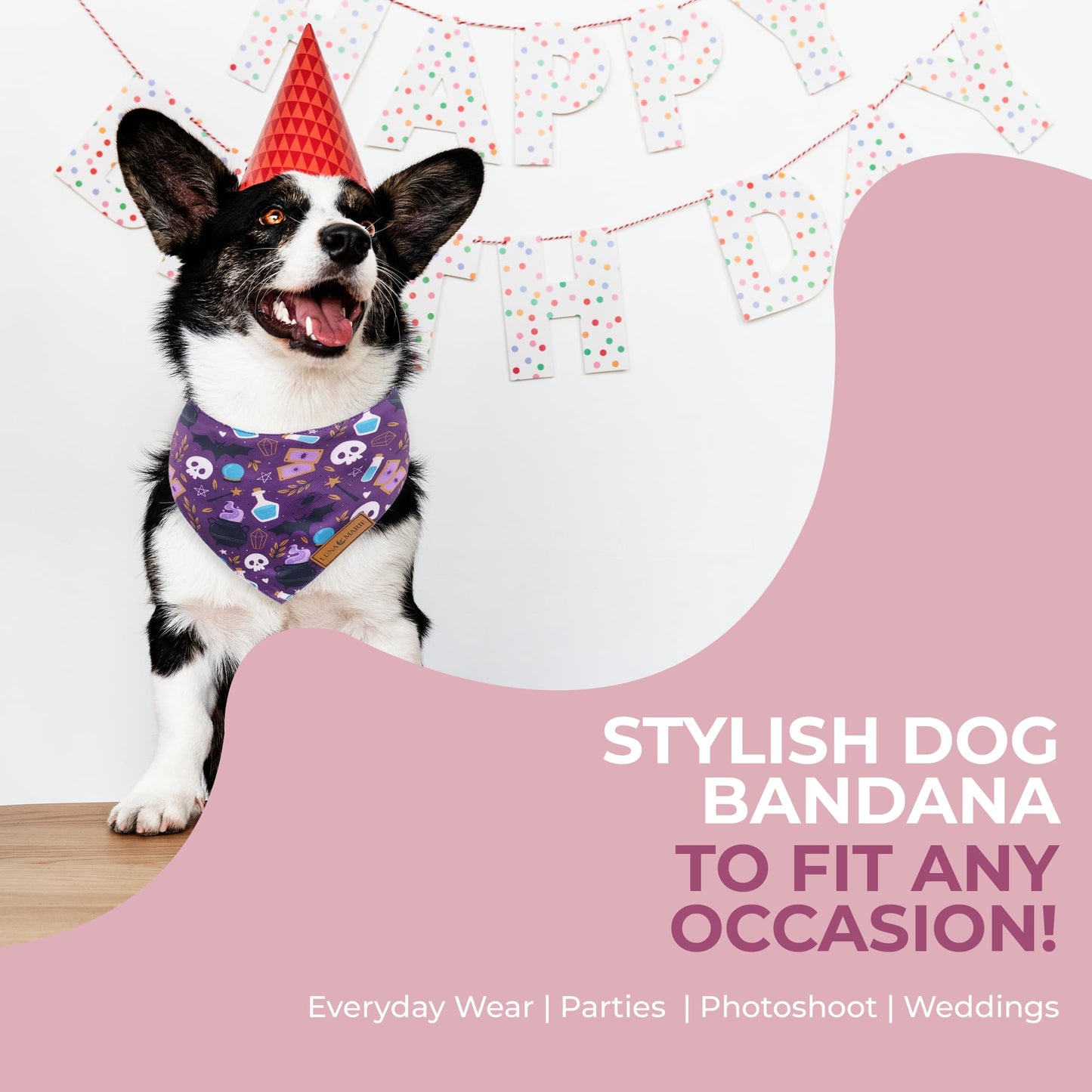 Luxury Pet Birthday Bandanas -Premium & Silky Poly Fabric | 100% Handmade | Custom Shape Dual Layered (Birthday Girl, Medium)