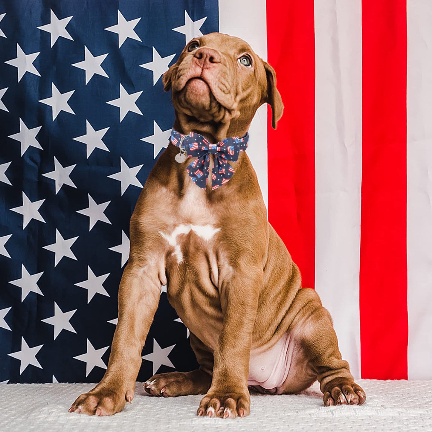 American Flag Dog Collar with Bow Tie, 4th of July Comfortable Cotton Cute Dog Collar with Metal Buckle, Patriotic Bowtie Collar for Puppy Girl Boy Dog, XL, Neck 16-26in