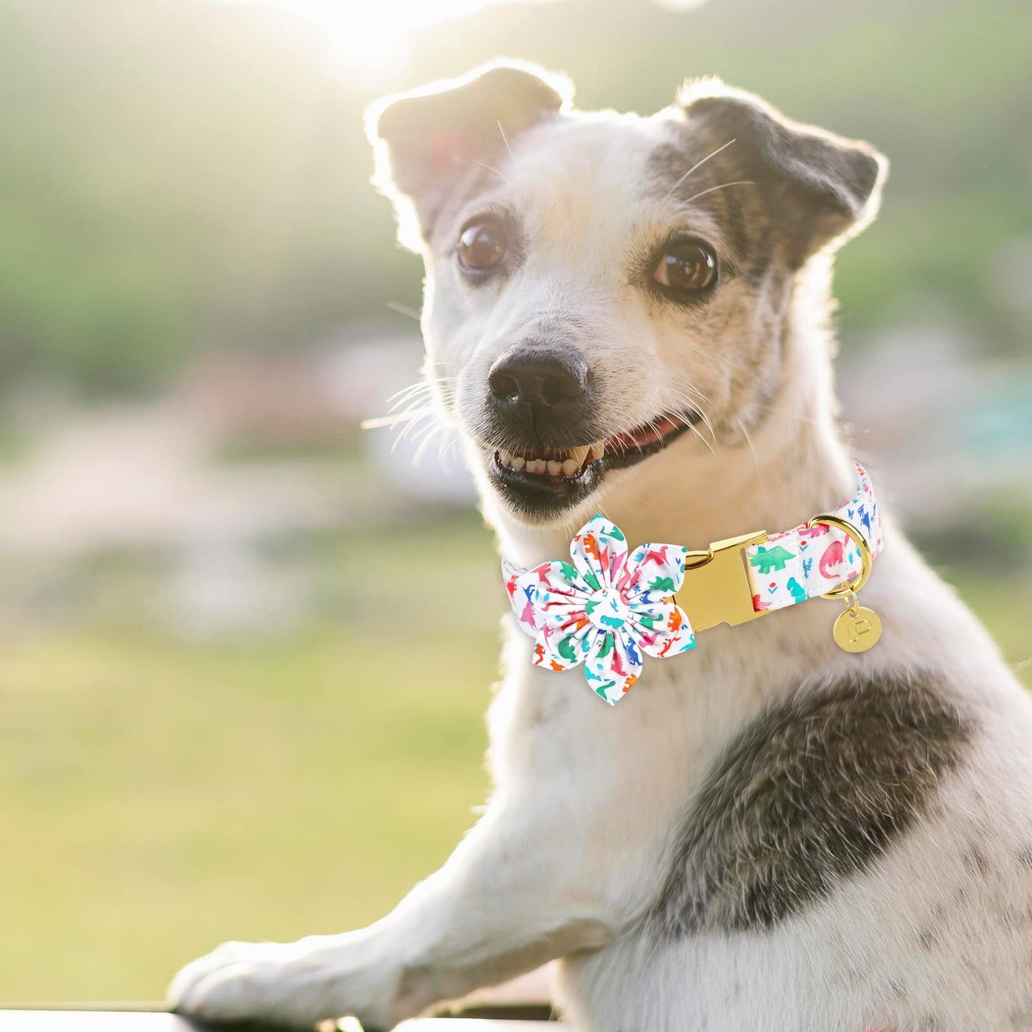 American Flag Dog Collar with Bow Tie, 4th of July Comfortable Cotton Cute Dog Collar with Metal Buckle, Patriotic Bowtie Collar for Puppy Girl Boy Dog, XL, Neck 16-26in