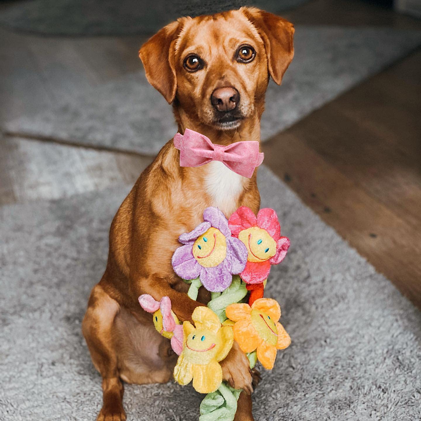 Elegant little tail Vintage Floral Dog Collar with Bow, Comfotable Dog Bowtie, Dog Collar Bow Adjustable Dog Collars for Small Medium Large Dogs