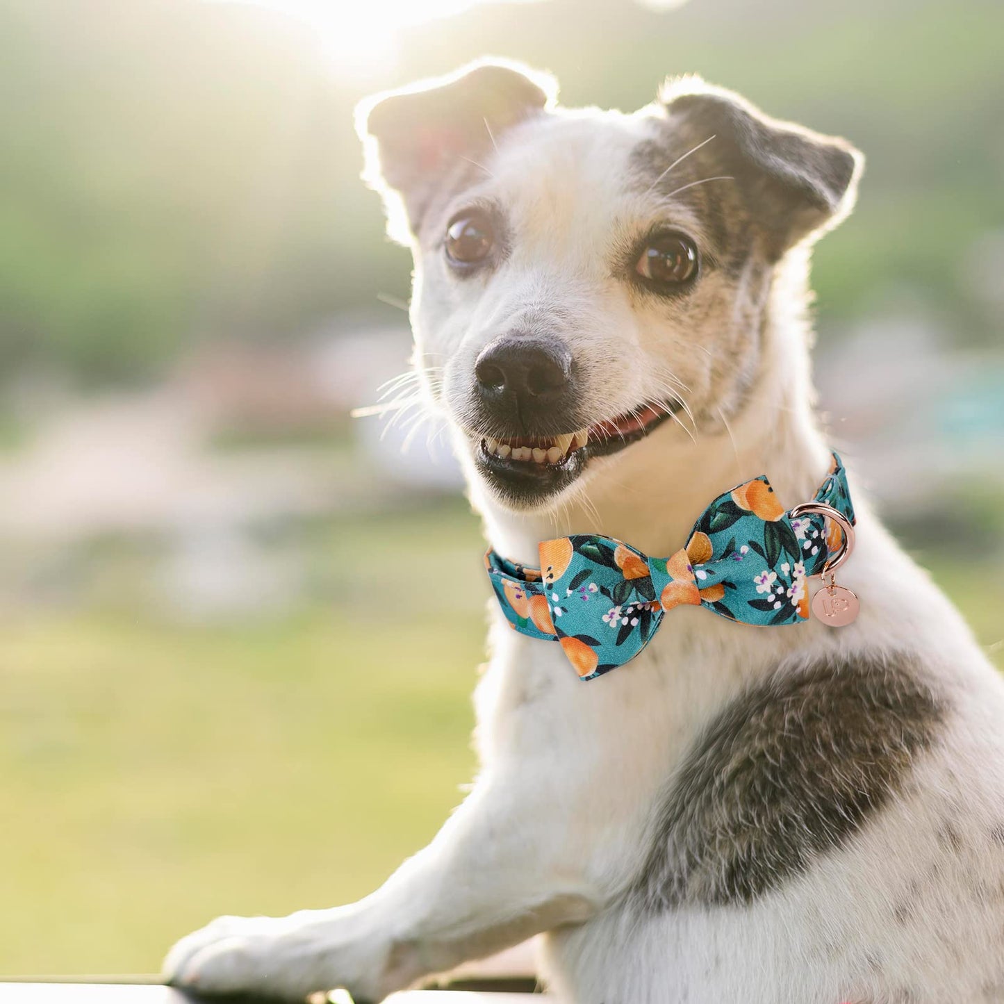 American Flag Dog Collar with Bow Tie, 4th of July Comfortable Cotton Cute Dog Collar with Metal Buckle, Patriotic Bowtie Collar for Puppy Girl Boy Dog, XL, Neck 16-26in